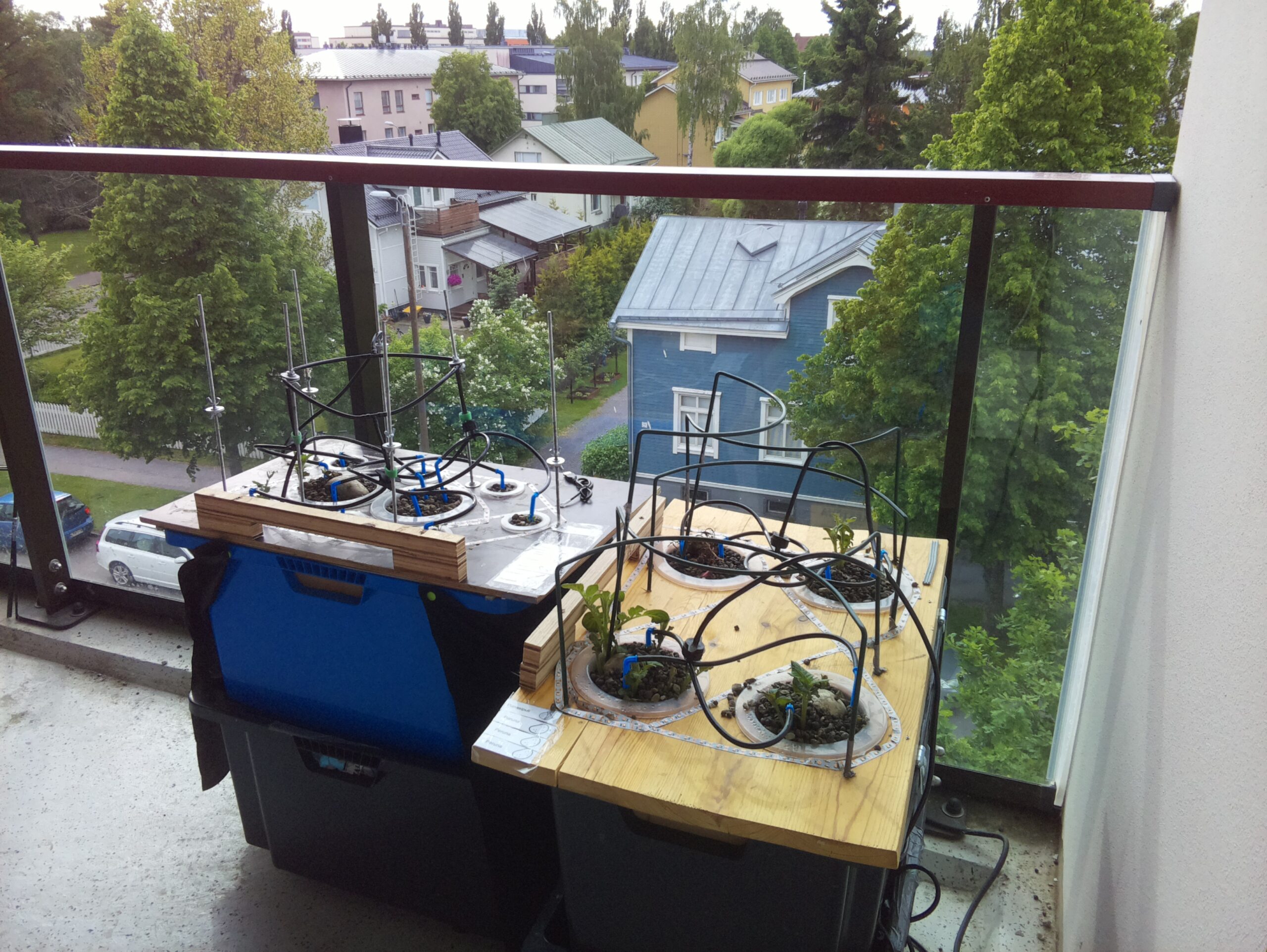 ilta KATU 2026-06-11: 18:00:02