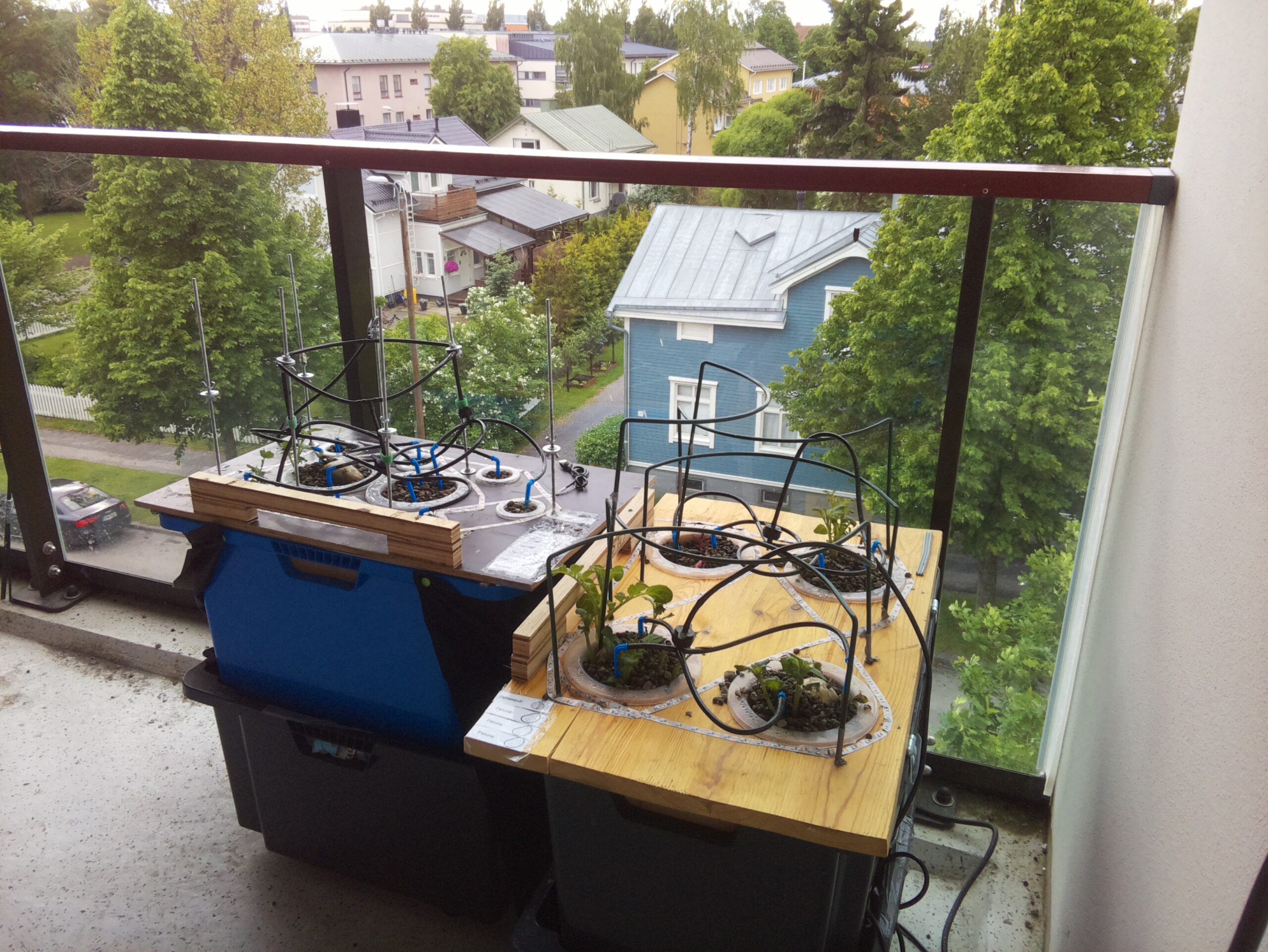 ilta KATU 2026-06-12: 18:00:02