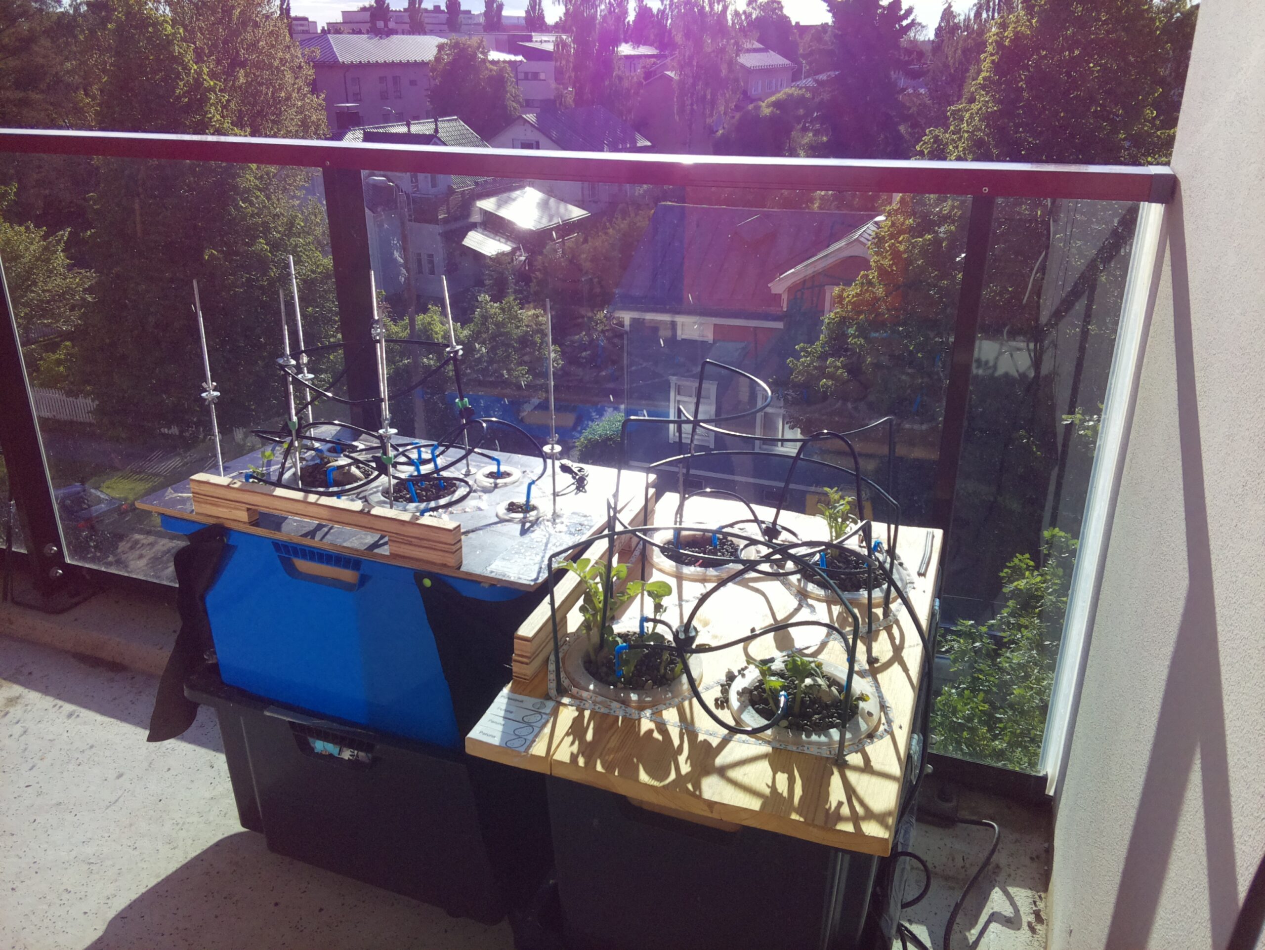 ilta KATU 2026-06-12: 19:43:08