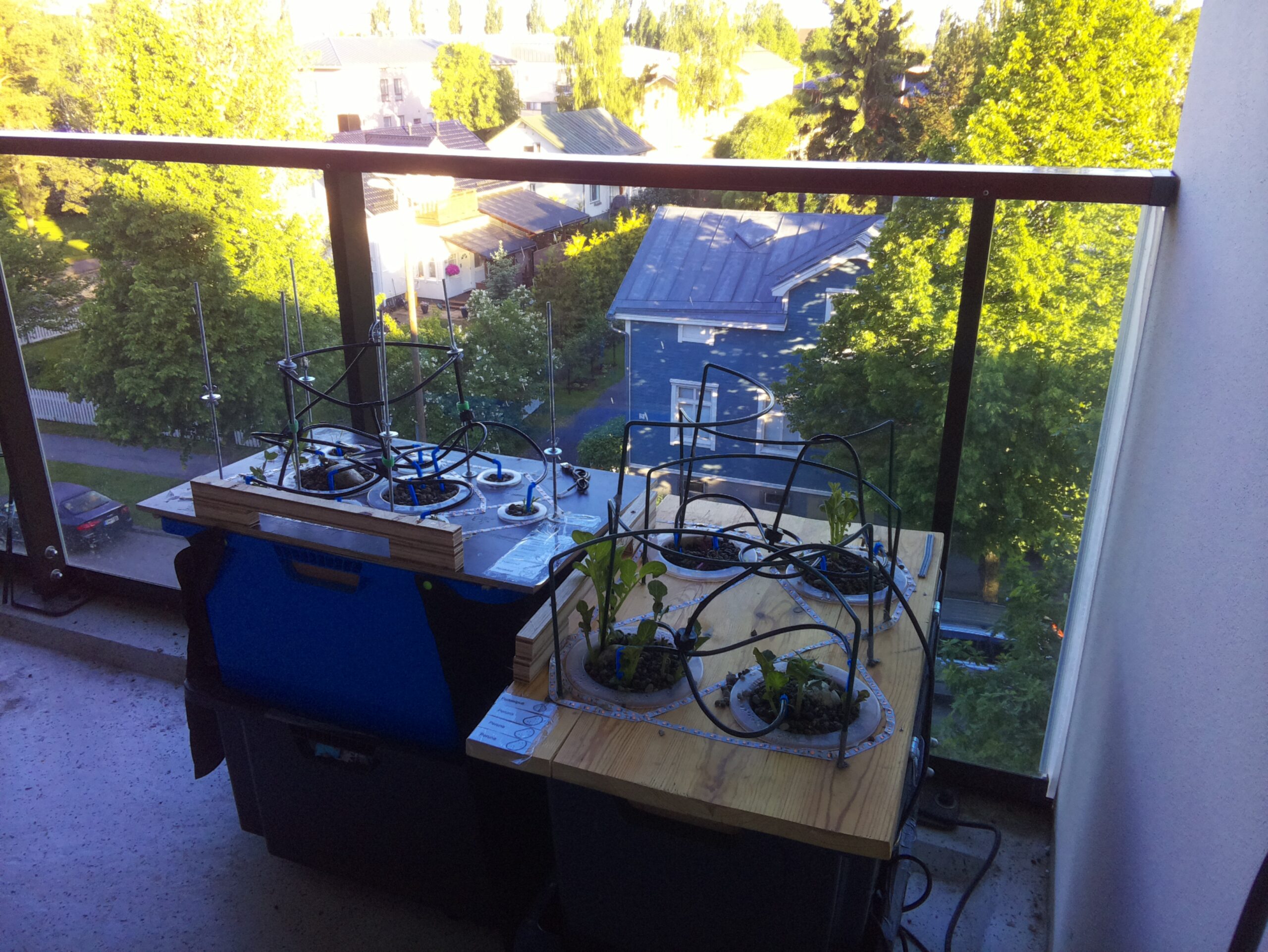 aamu KATU 2026-06-13: 06:00:01