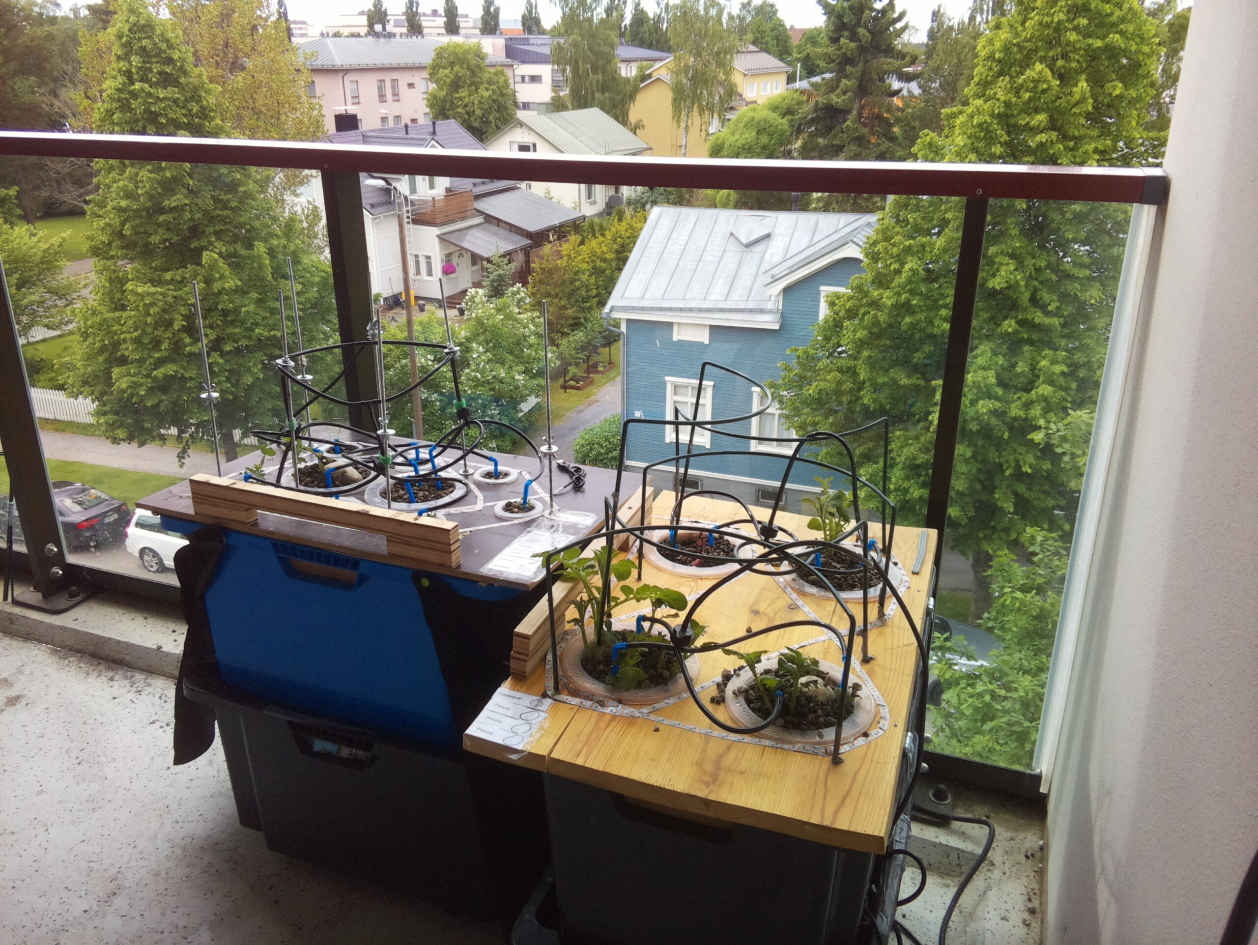 ilta KATU 2026-06-13: 16:08:45