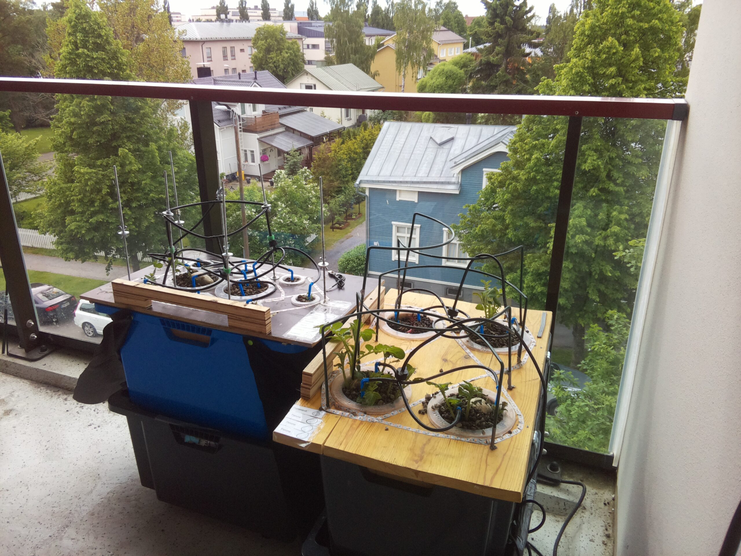 ilta KATU 2026-06-13: 16:33:49