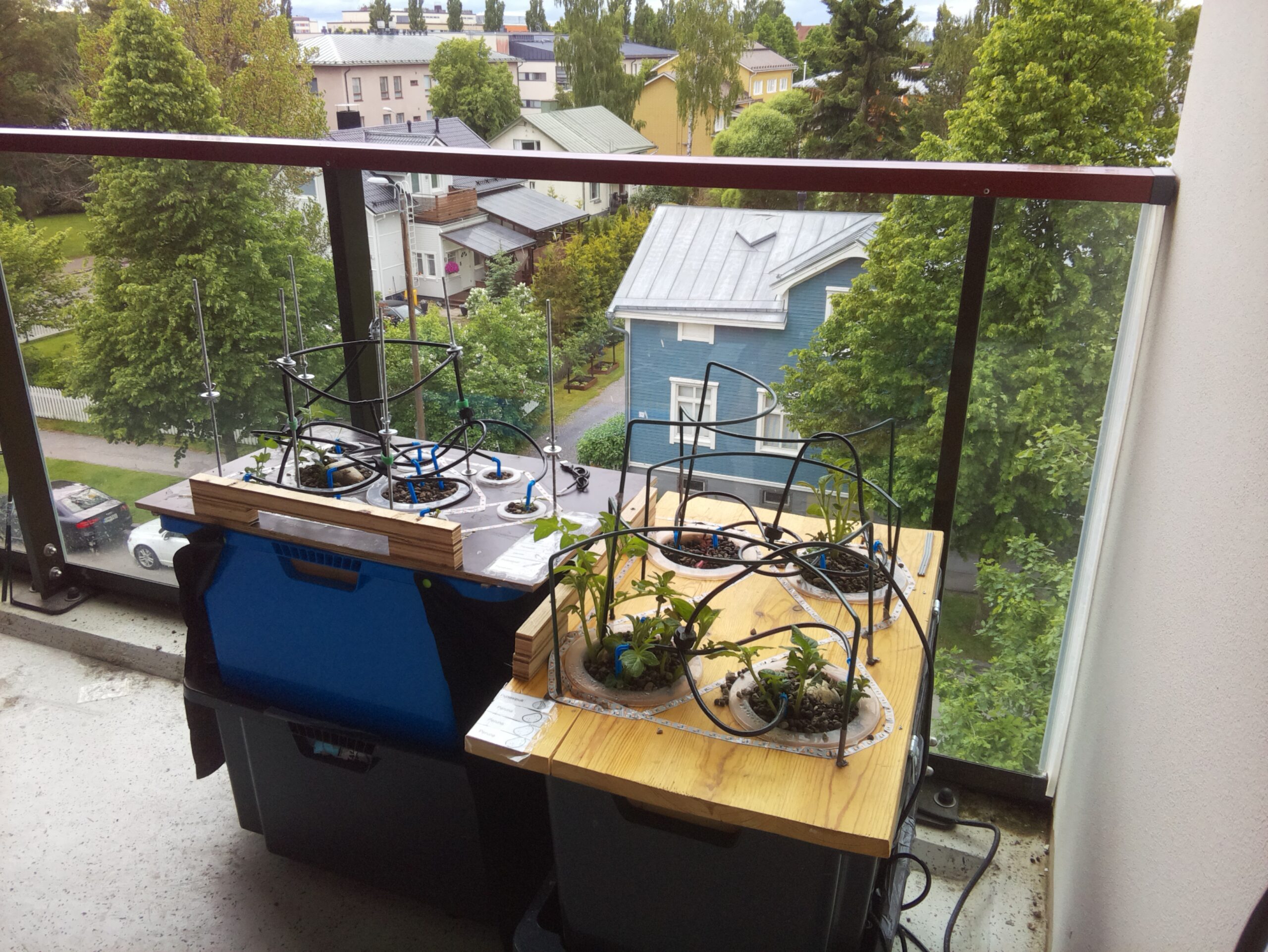 ilta KATU 2026-06-14: 18:05:07