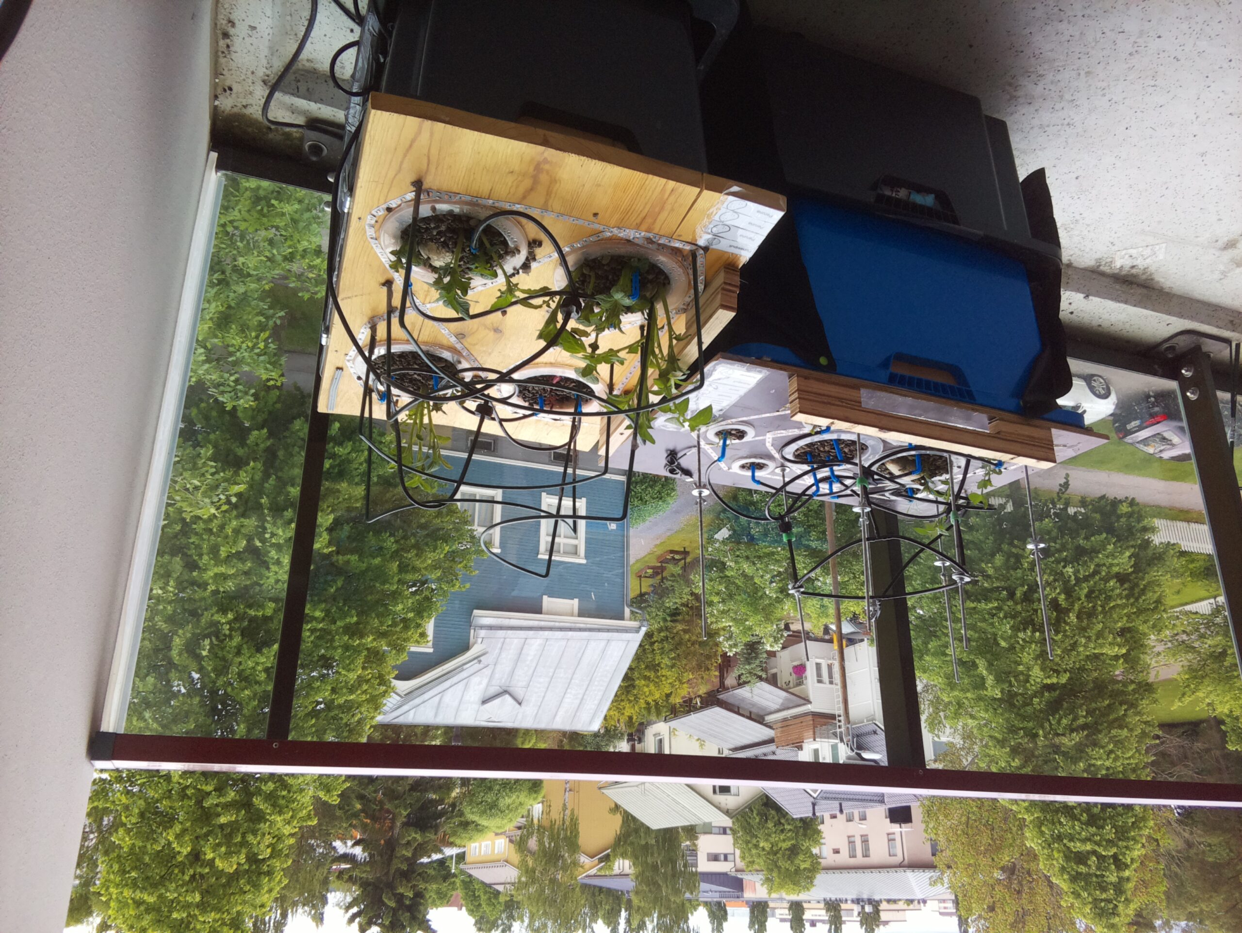 ilta KATU 2026-06-14: 19:09:40