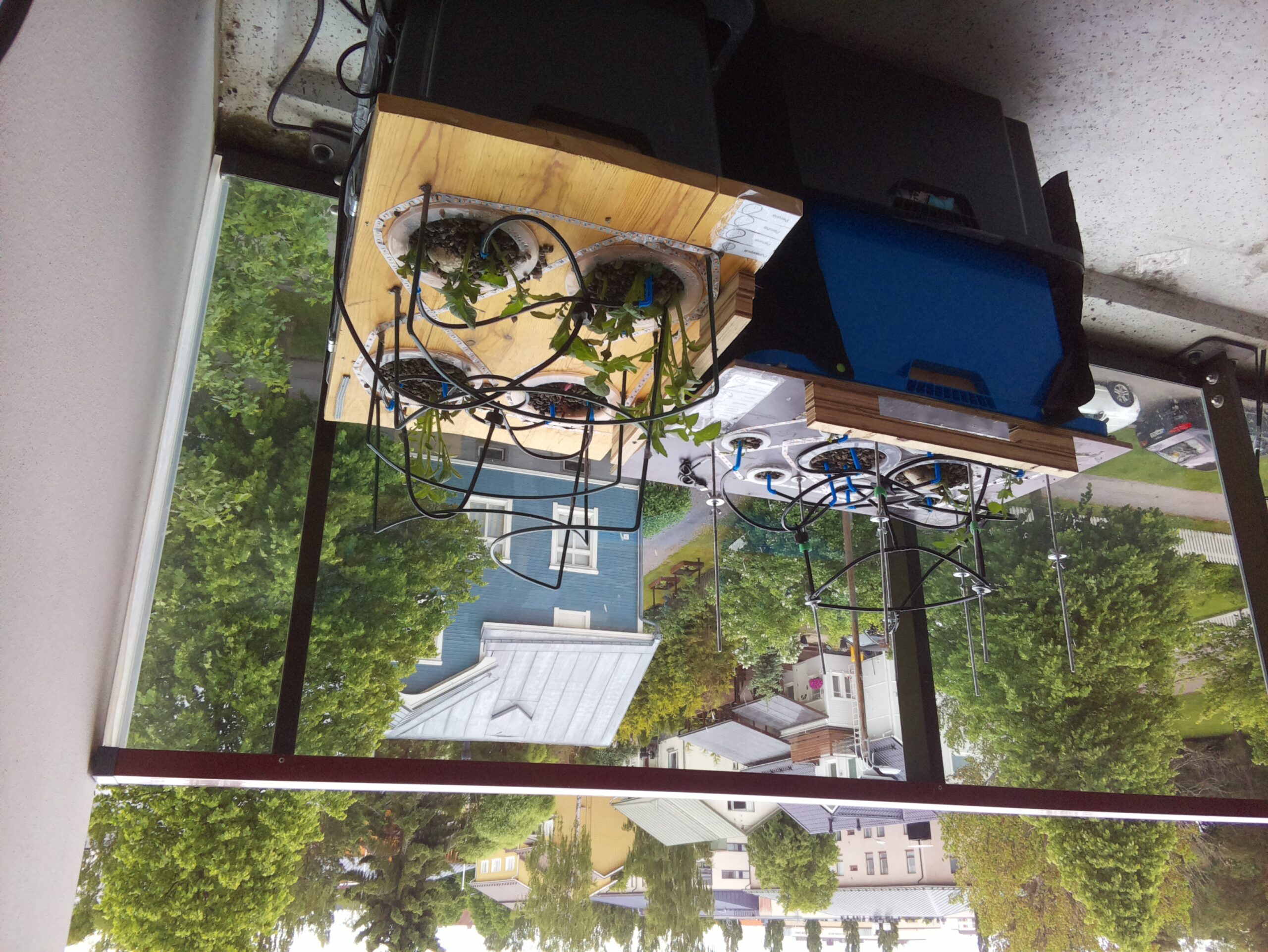ilta KATU 2026-06-14: 19:35:52