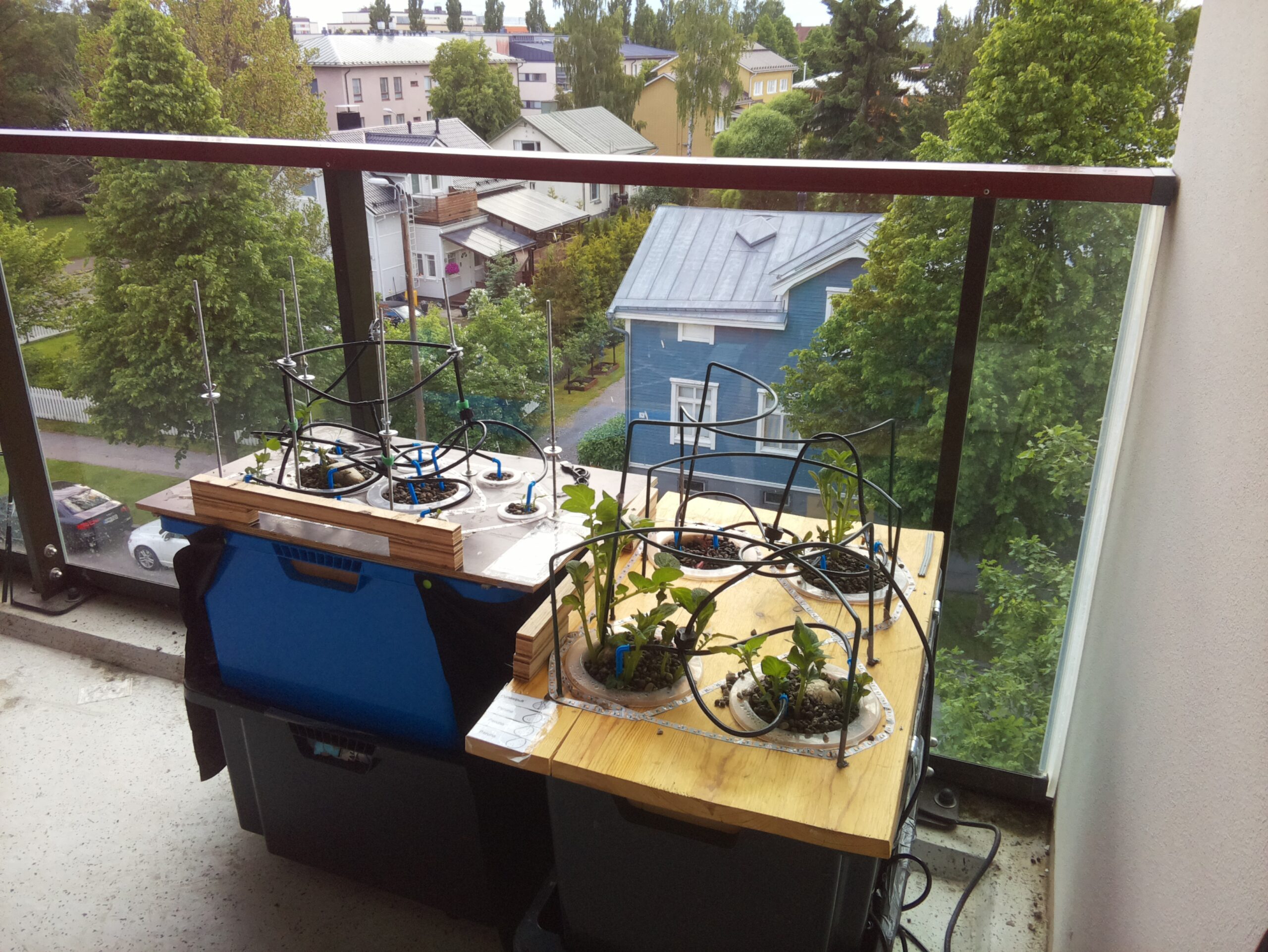 ilta KATU 2026-06-14: 20:46:37