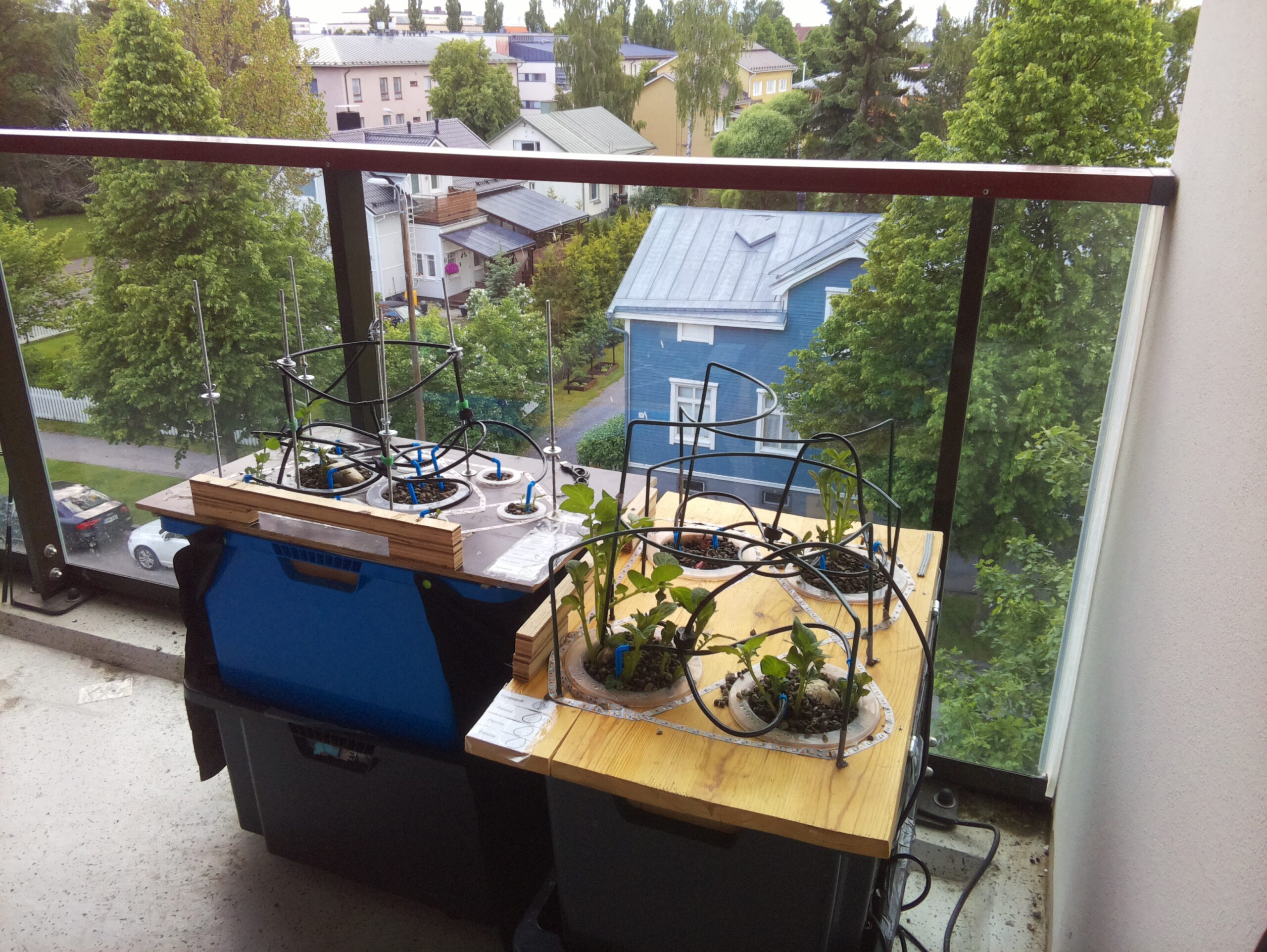 ilta KATU 2026-06-14: 20:57:13