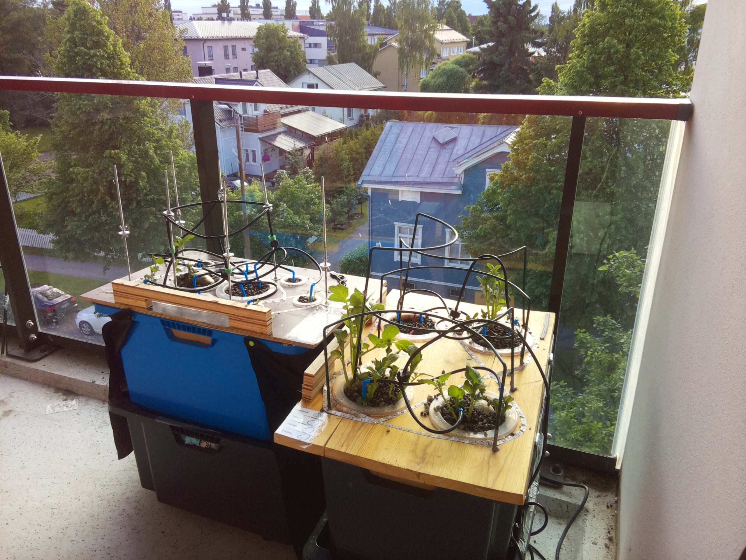 ilta KATU 2026-06-14: 21:15:51