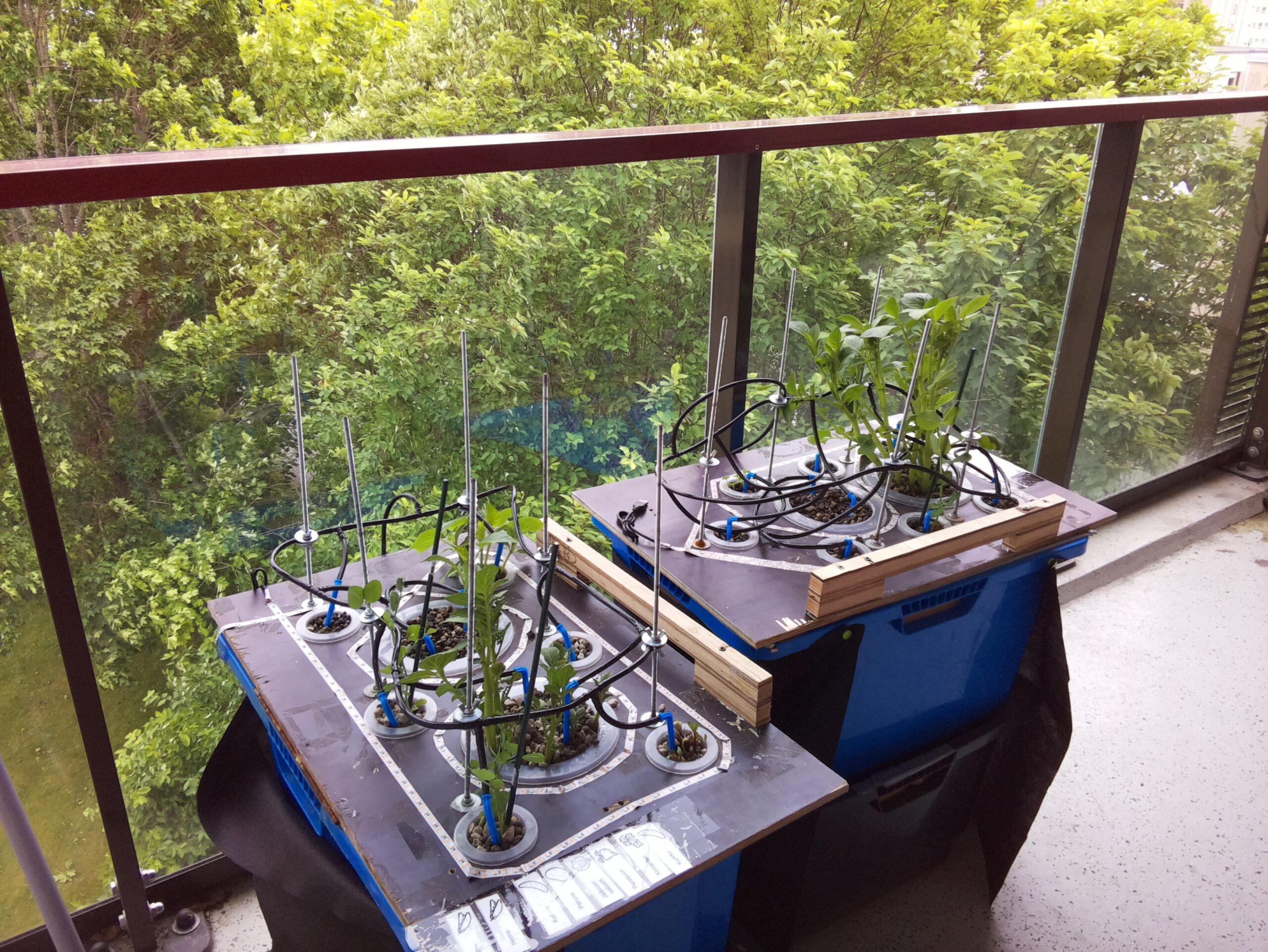 ilta SISÄPIHA 2026-06-15: 18:05:02