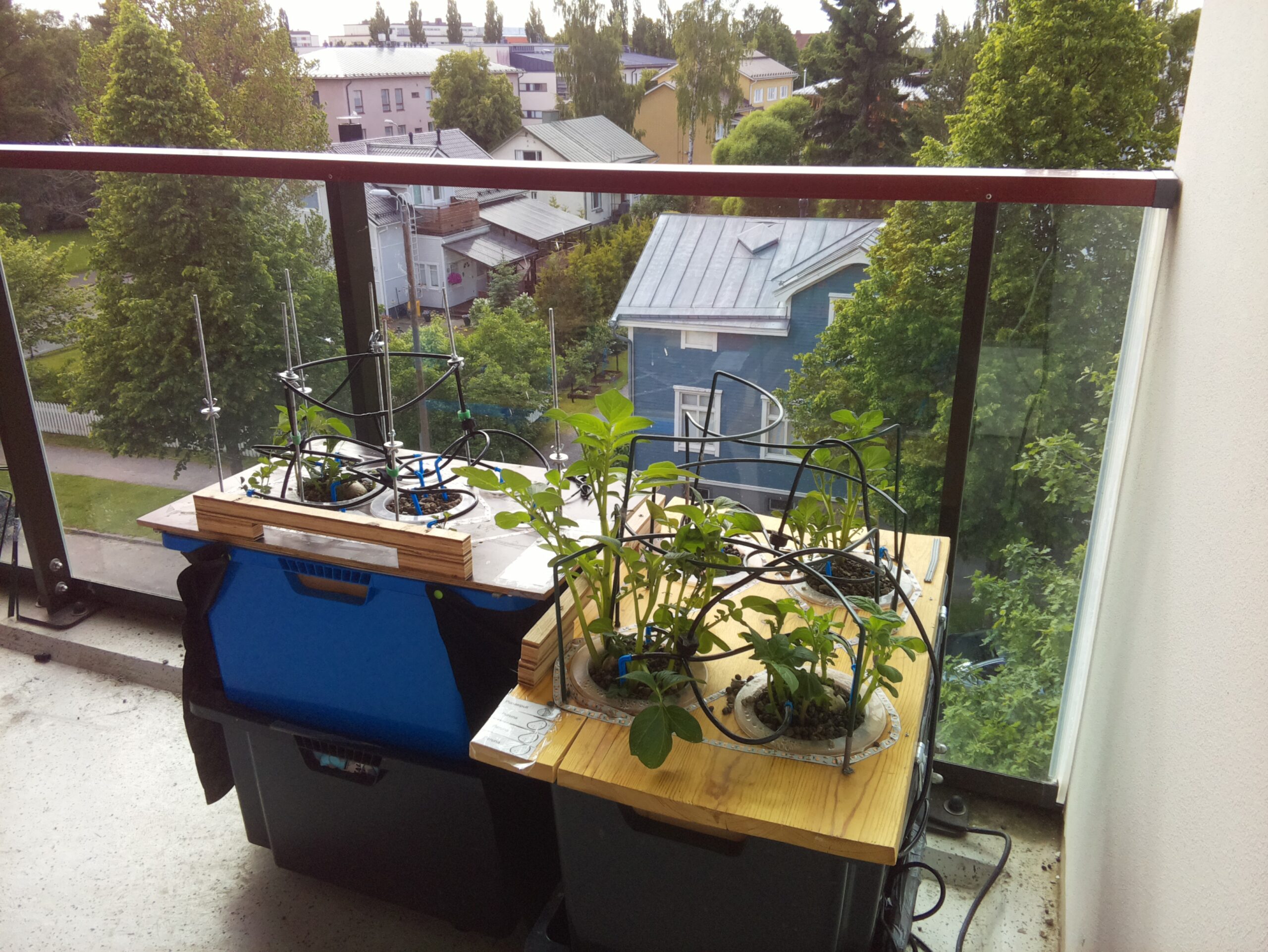ilta KATU 2026-06-18: 18:05:01