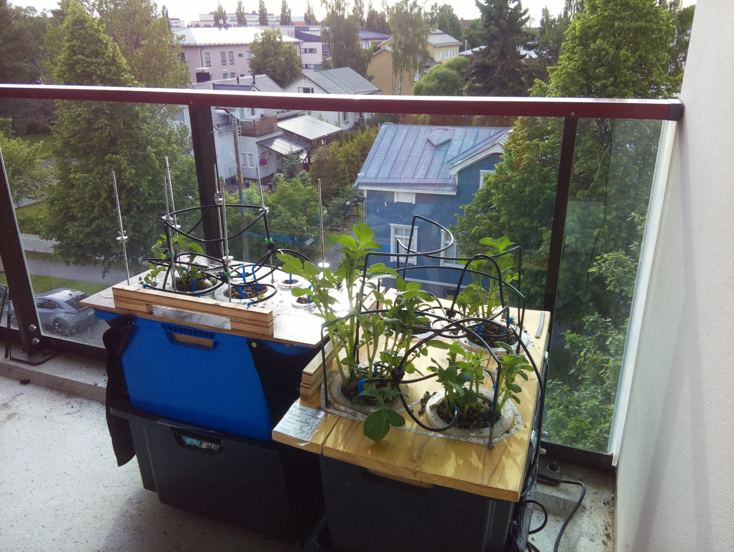 ilta KATU 2026-06-18: 19:21:52