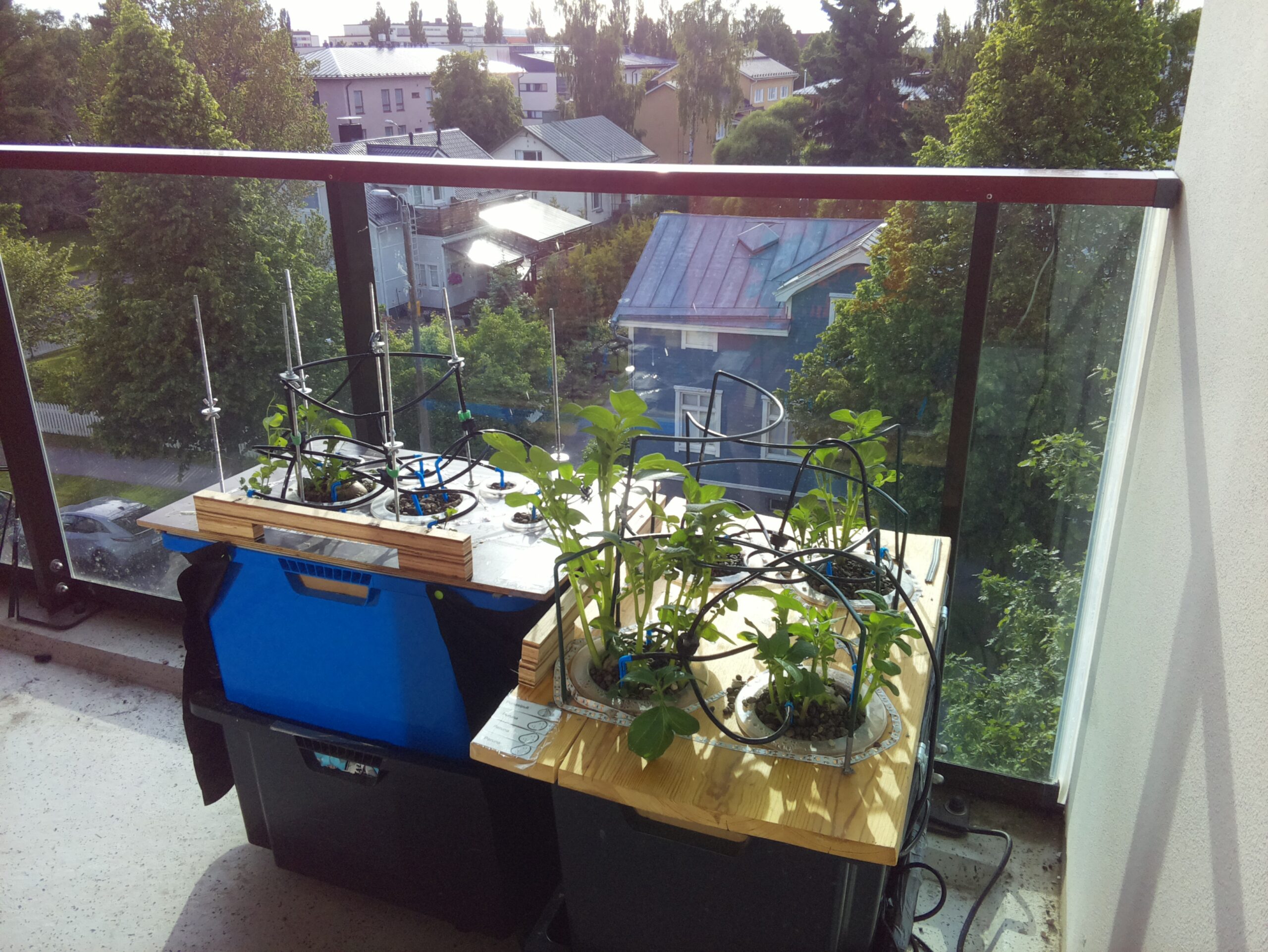 ilta KATU 2026-06-18: 19:35:38