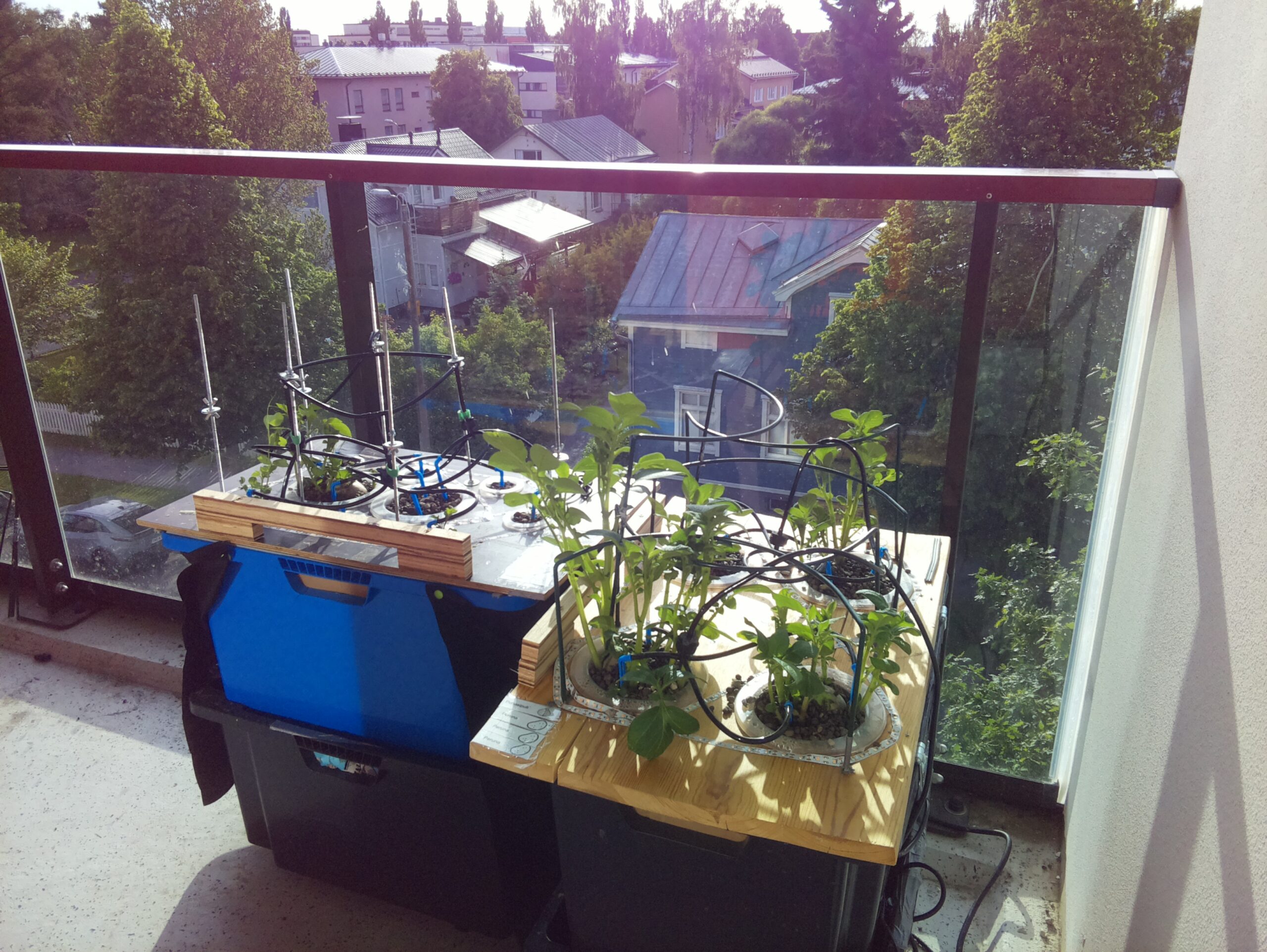 ilta KATU 2026-06-18: 19:46:11
