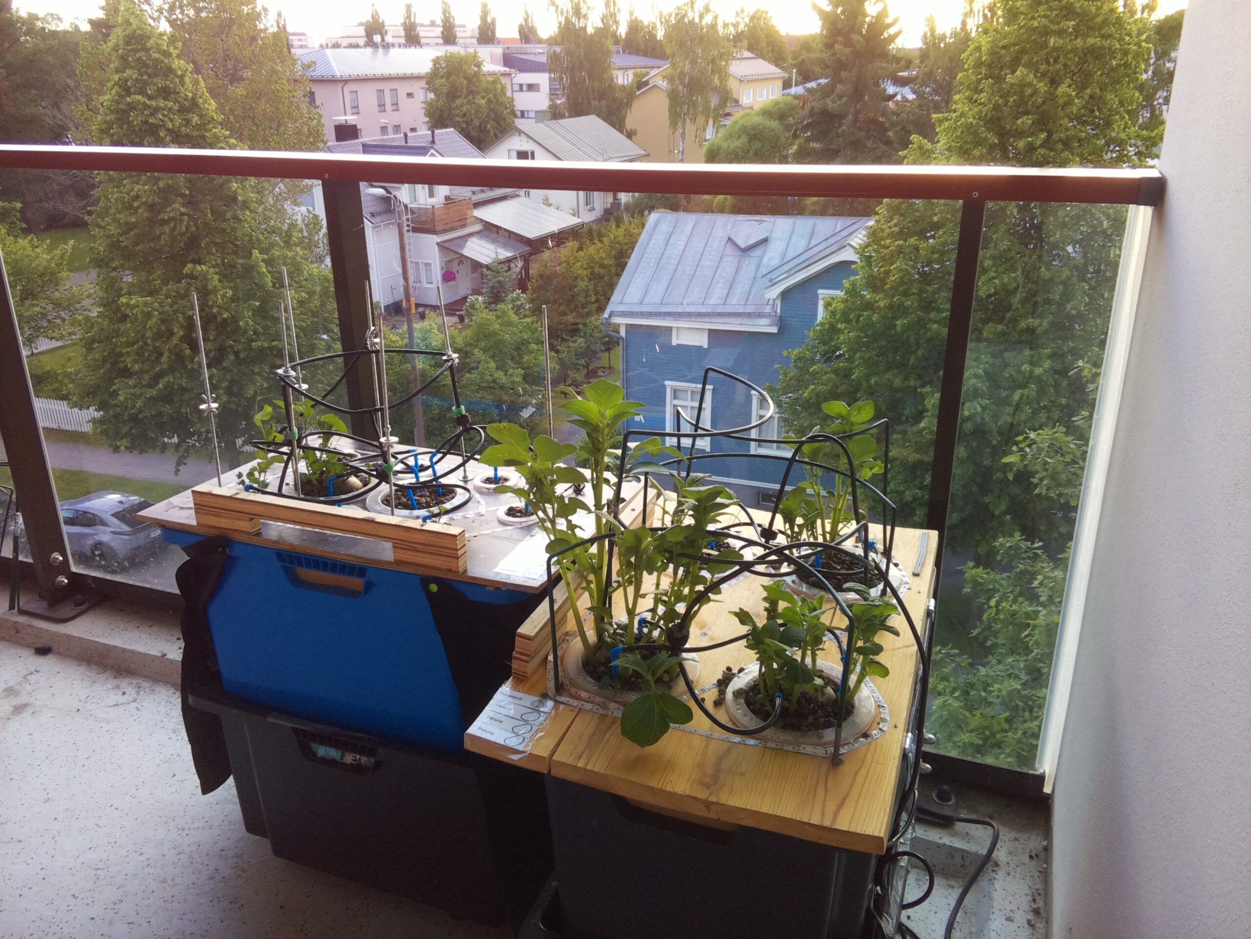 ilta KATU 2026-06-18: 20:56:27
