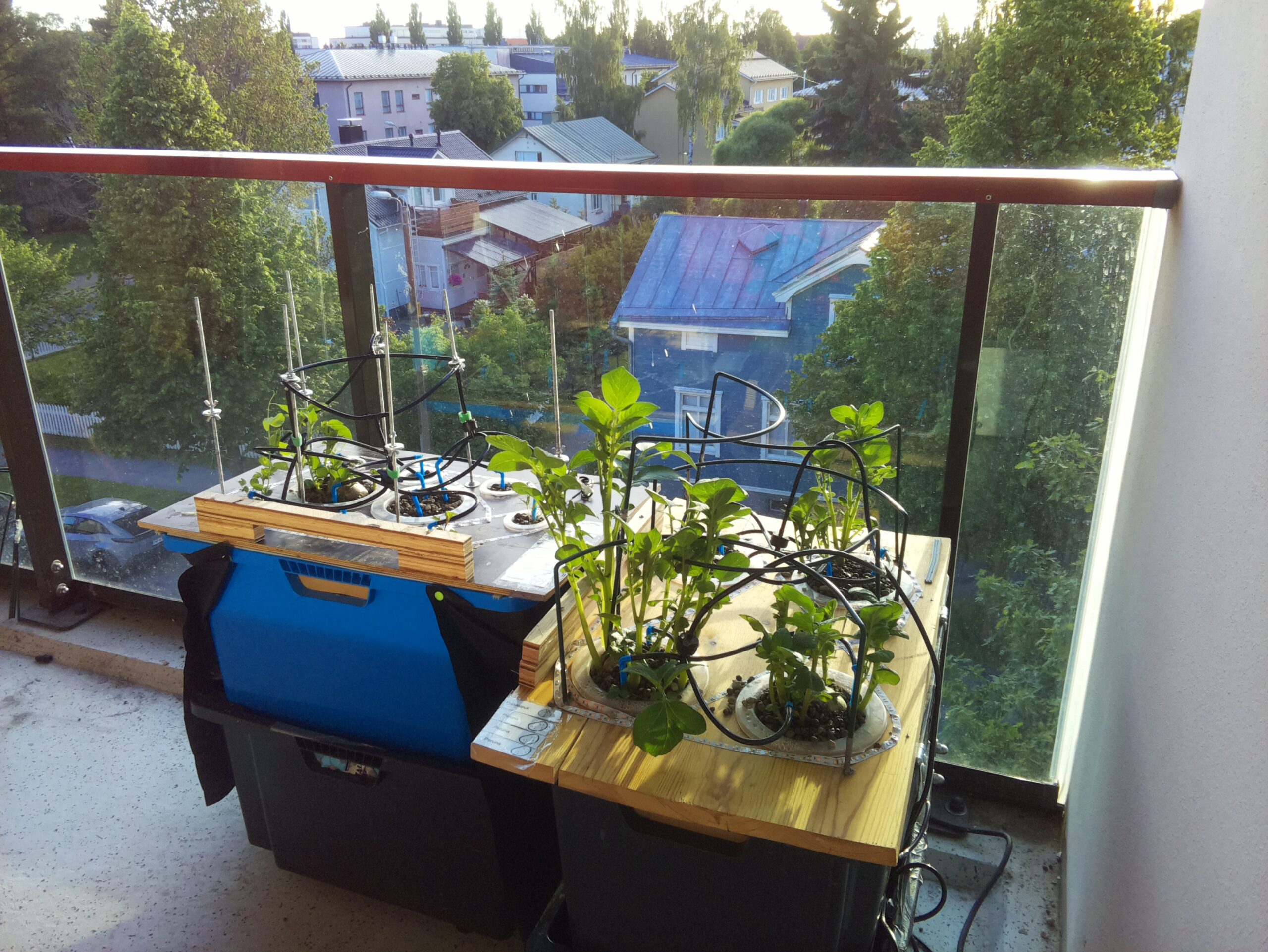 ilta KATU 2026-06-18: 21:26:02
