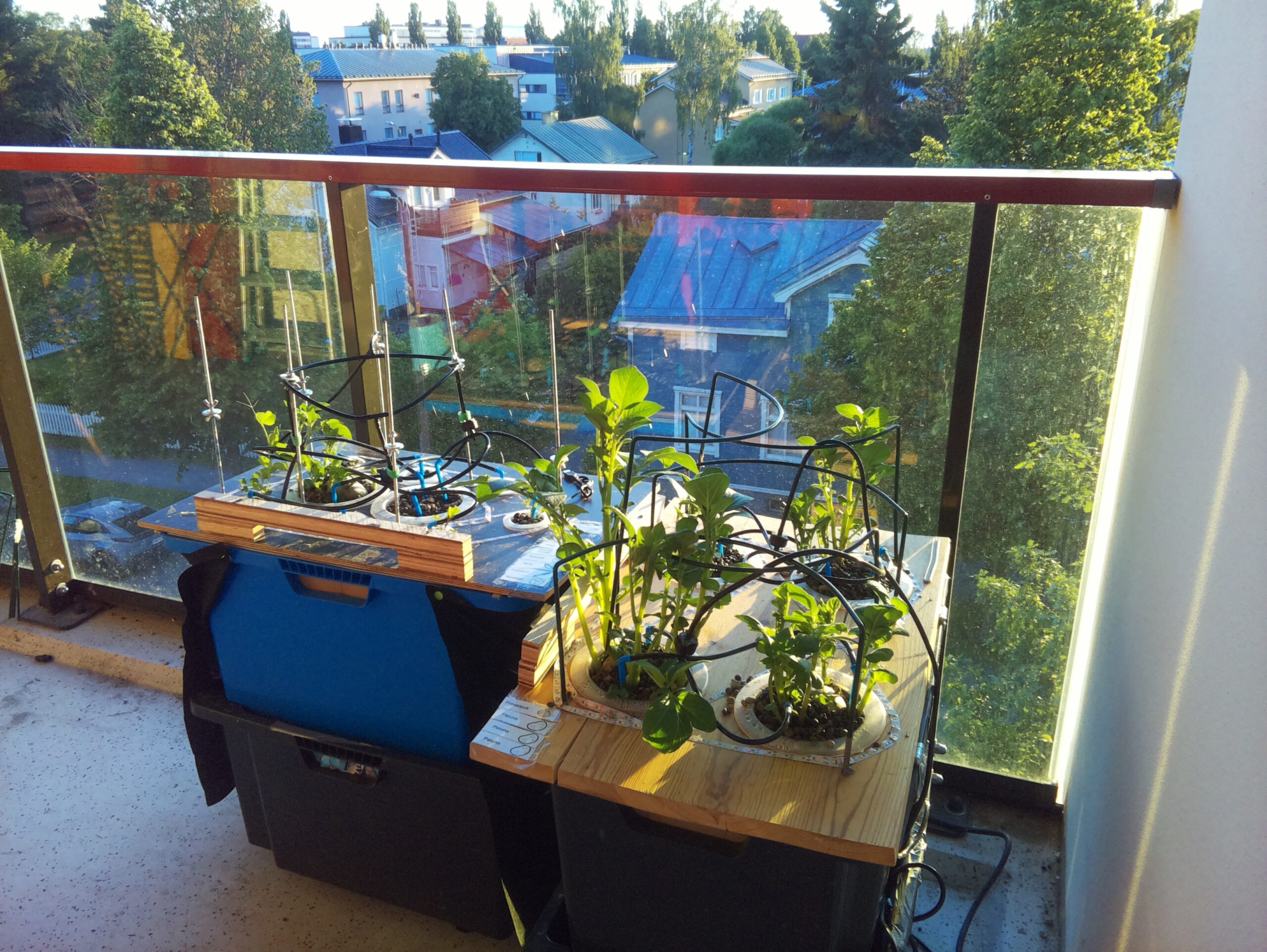 ilta KATU 2026-06-18: 22:41:00