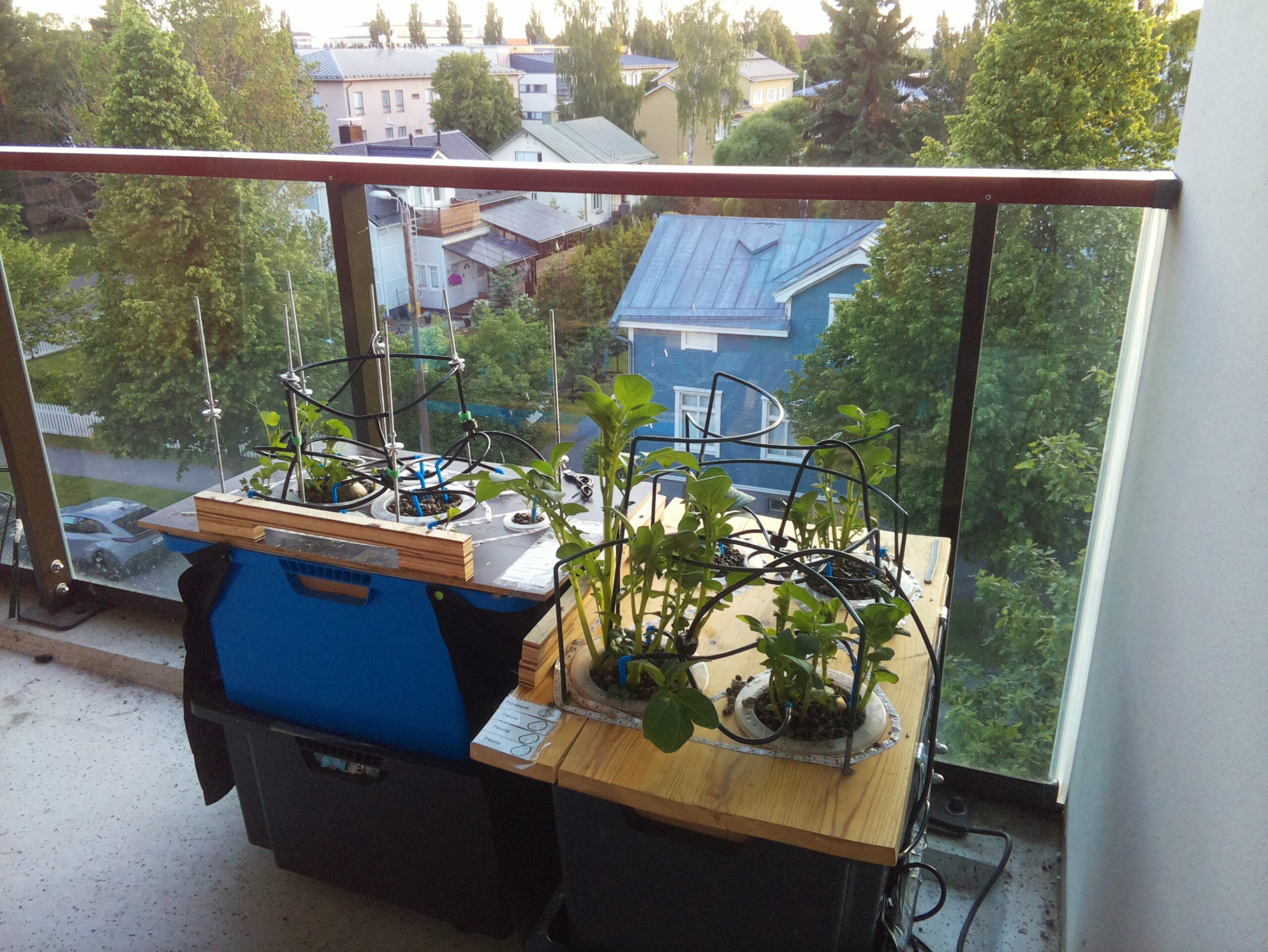 ilta KATU 2026-06-18: 22:56:09