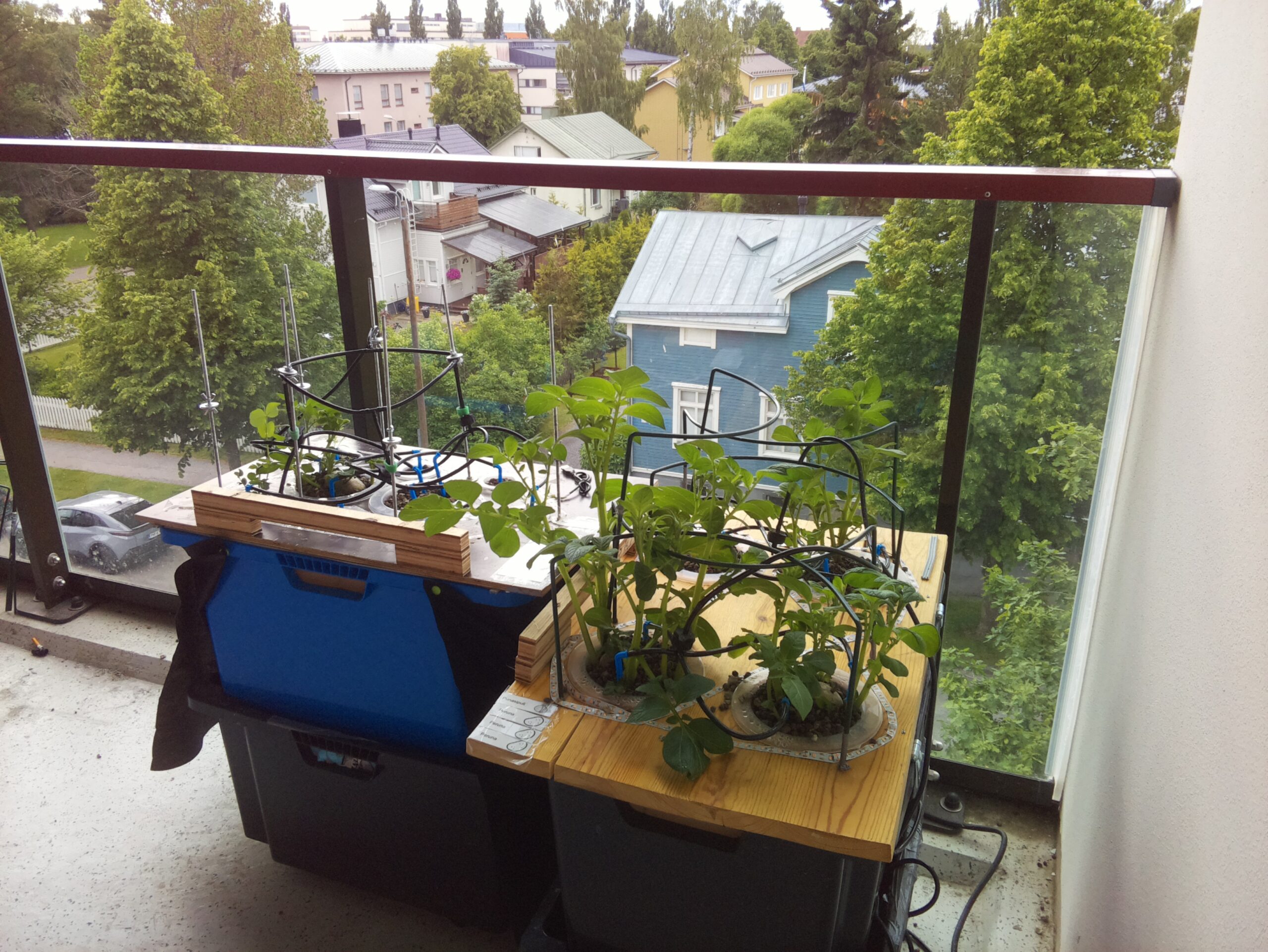 ilta KATU 2026-06-19: 18:05:02