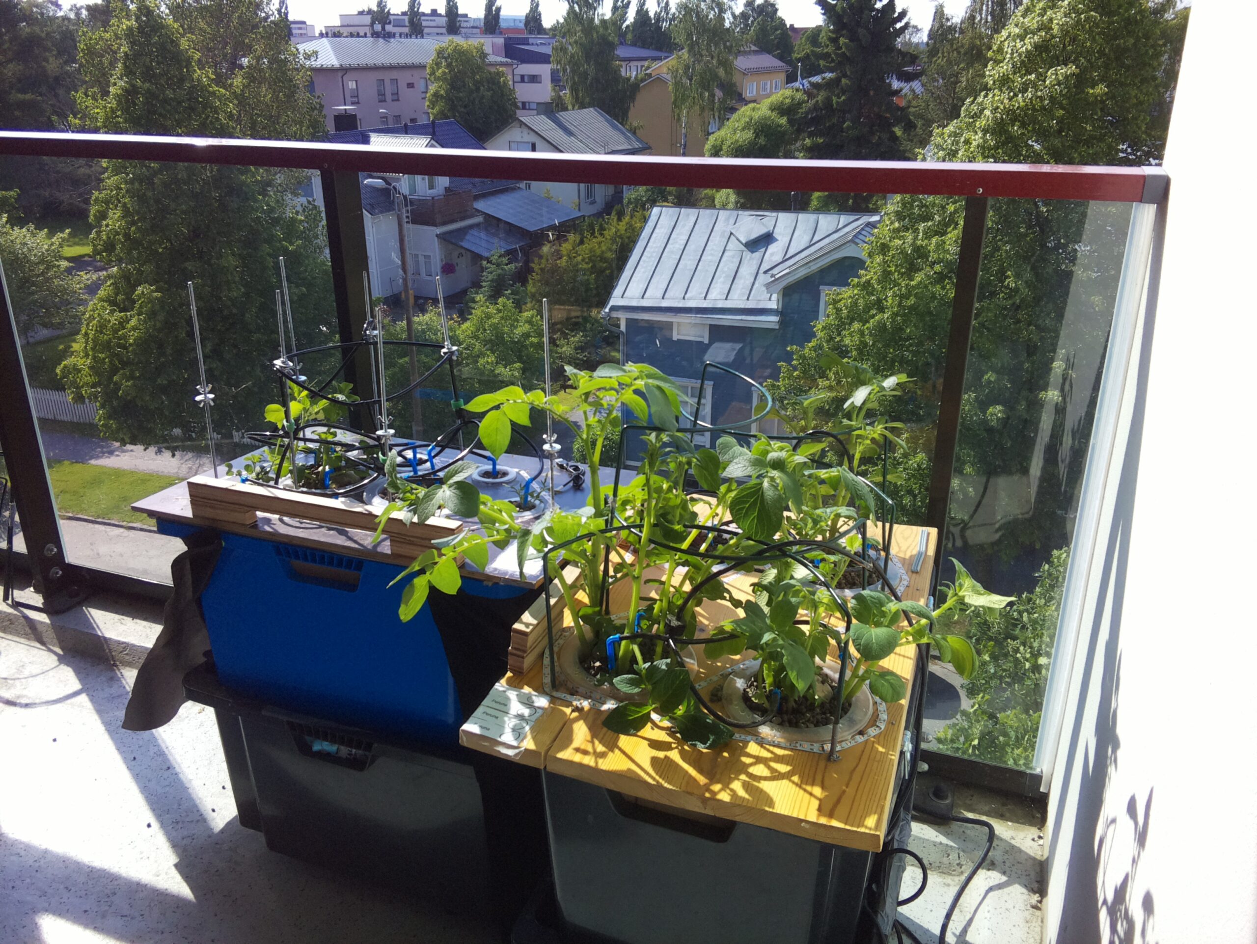 ilta KATU 2026-06-20: 16:44:13