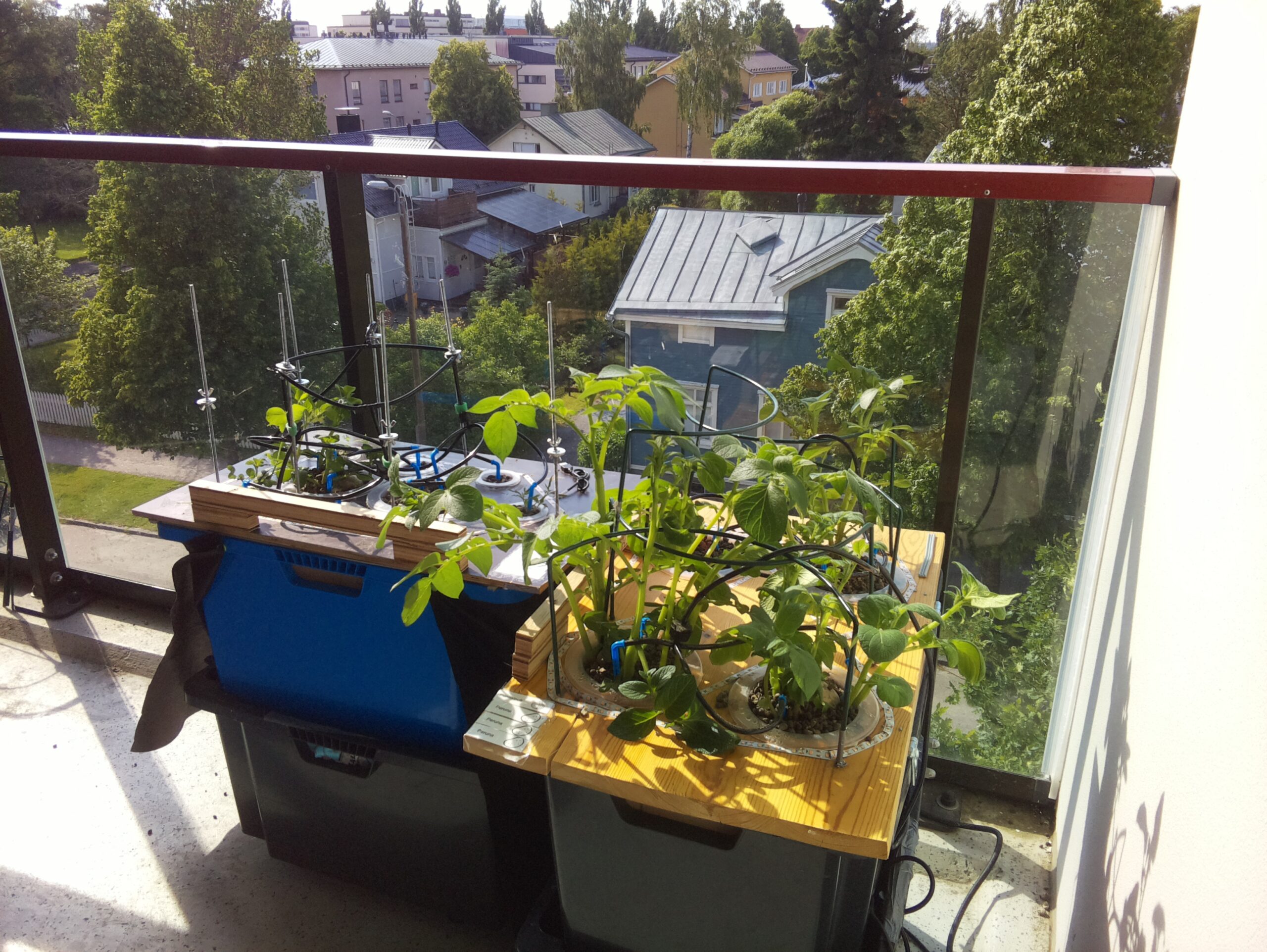 ilta KATU 2026-06-20: 16:50:04