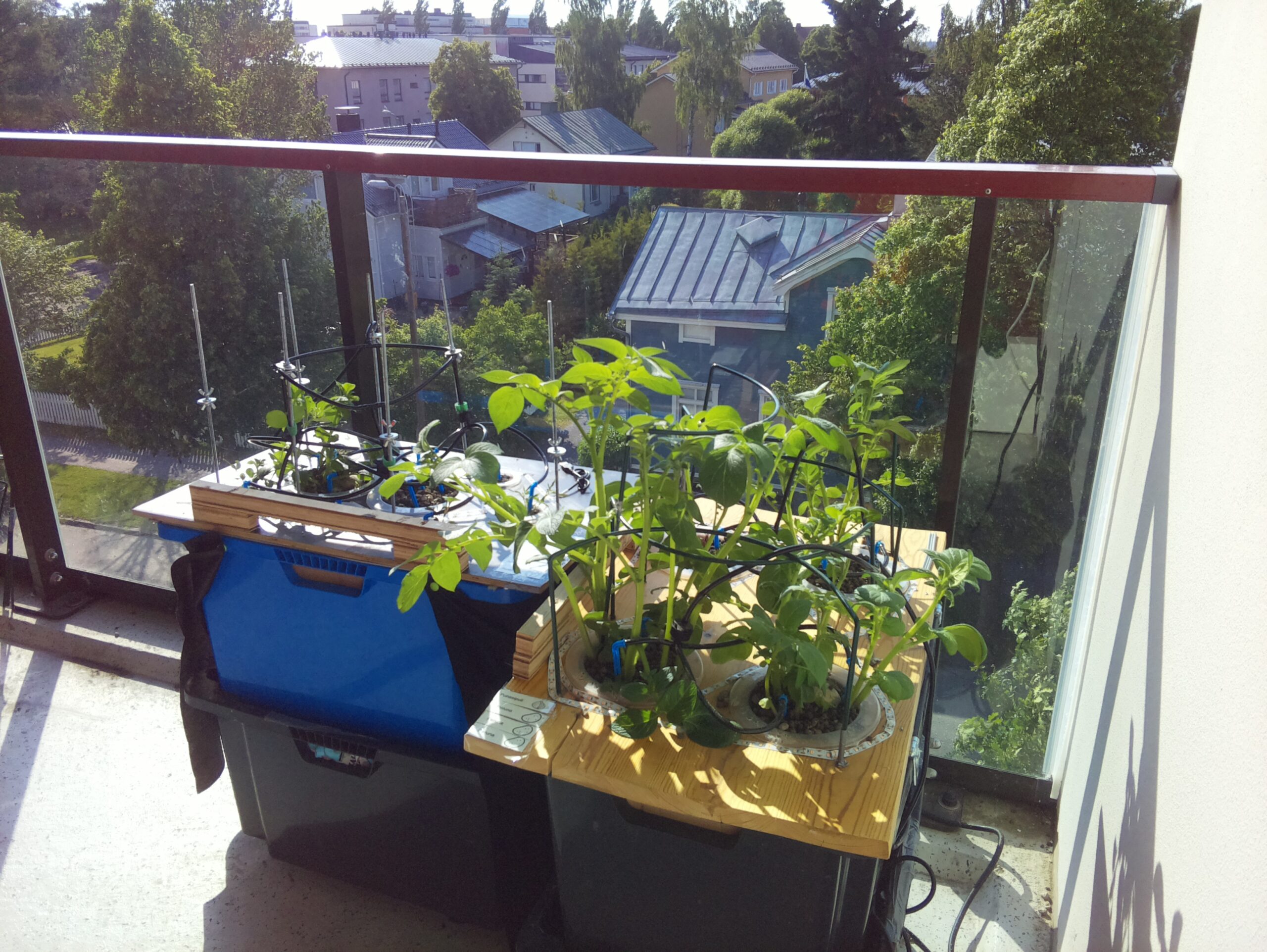 ilta KATU 2026-06-20: 18:05:03