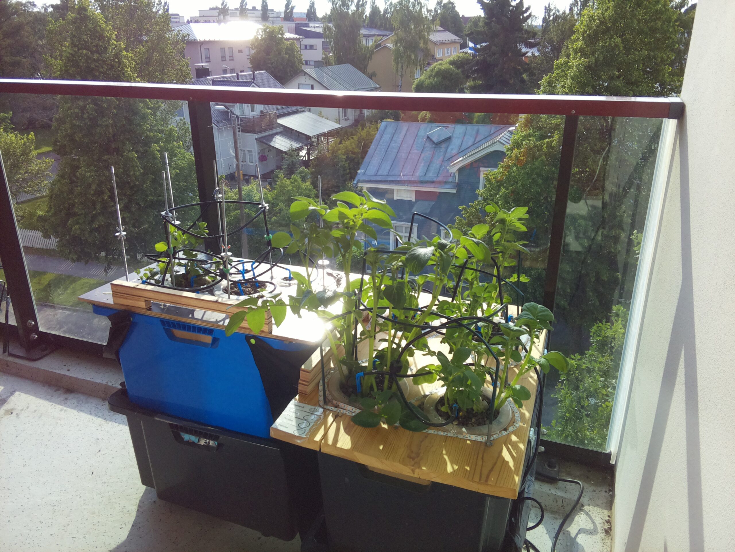 ilta KATU 2026-06-20: 19:13:05