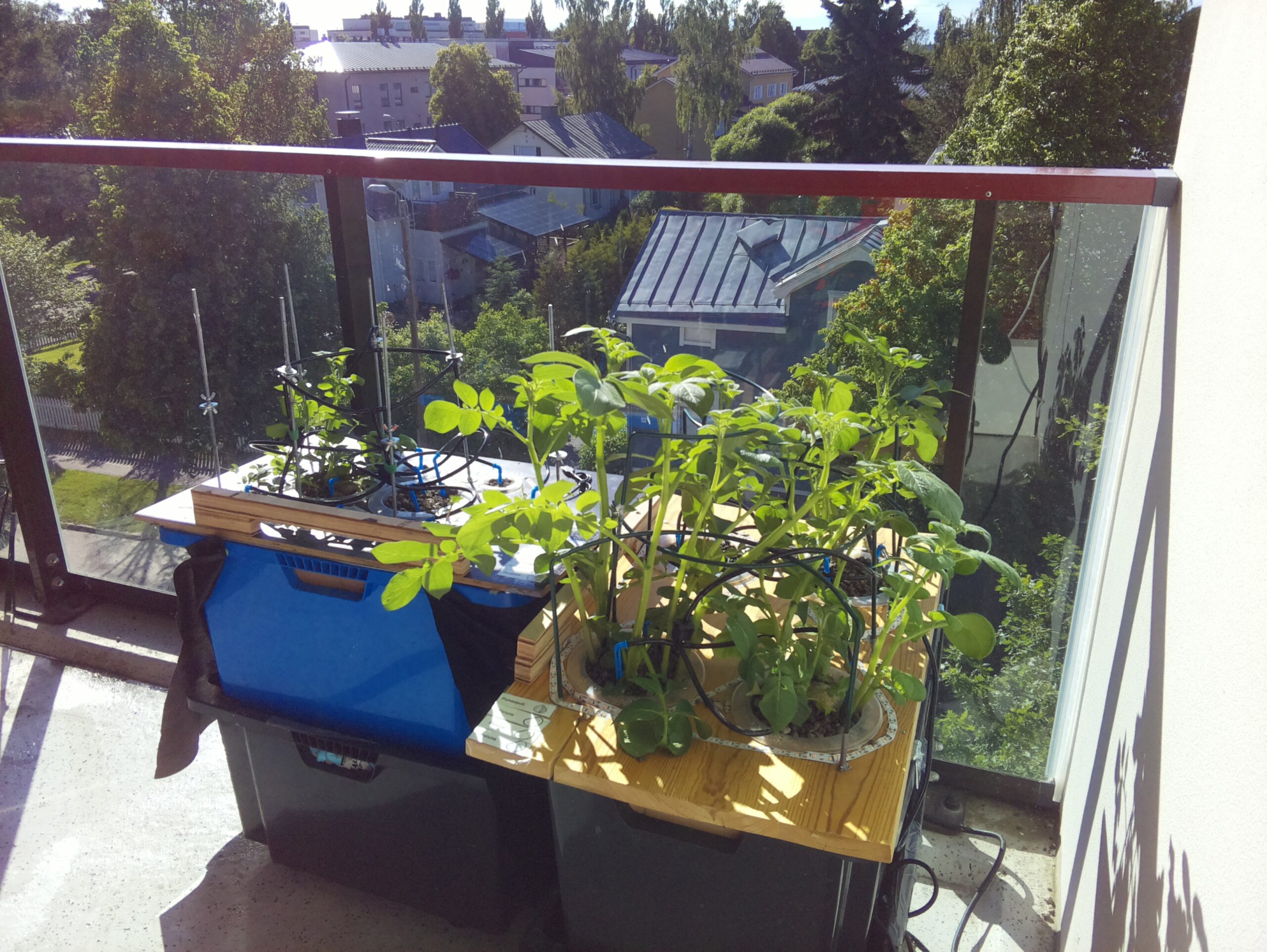 ilta KATU 2026-06-21: 18:05:01
