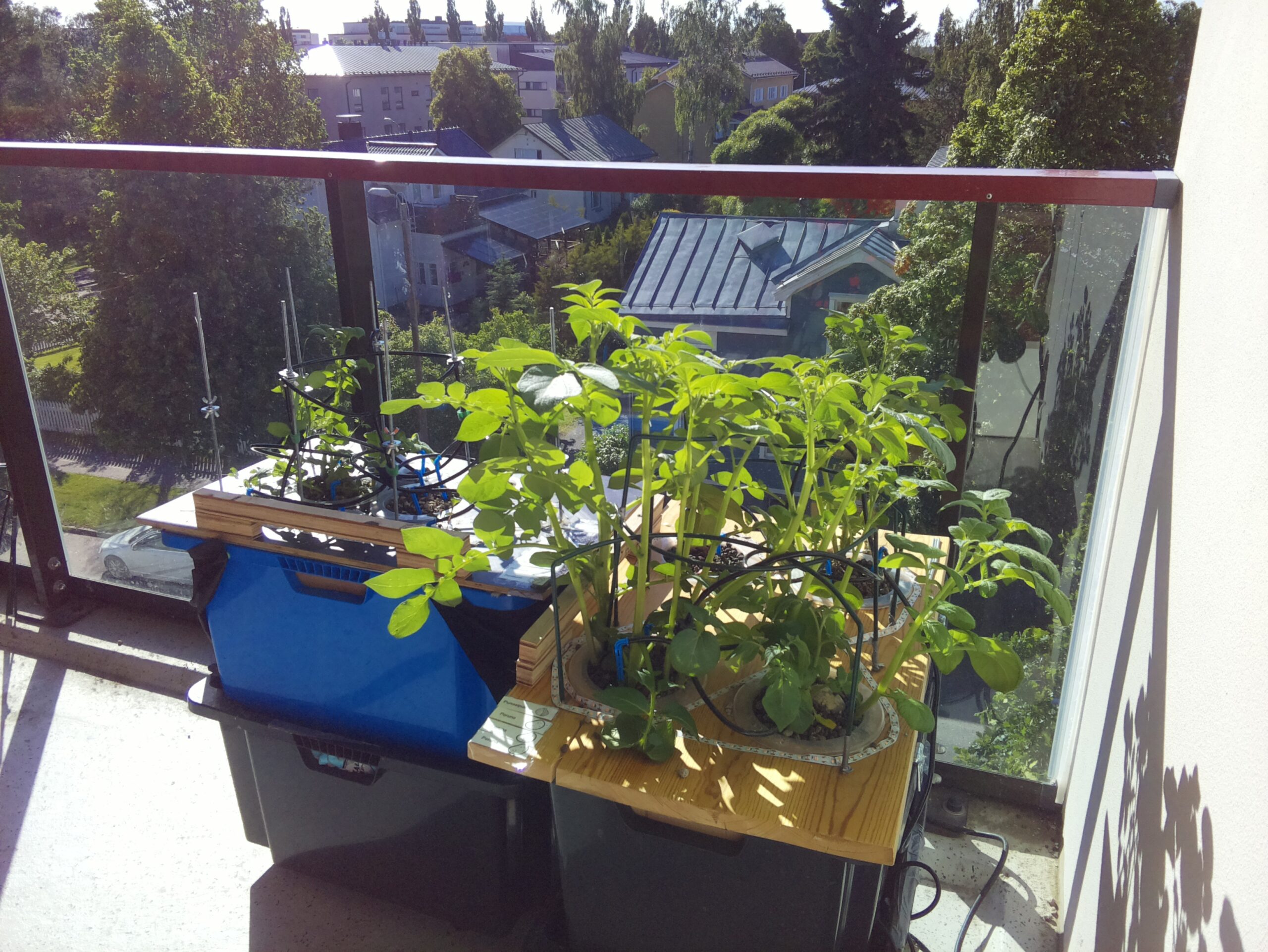 ilta KATU 2026-06-22: 18:05:02