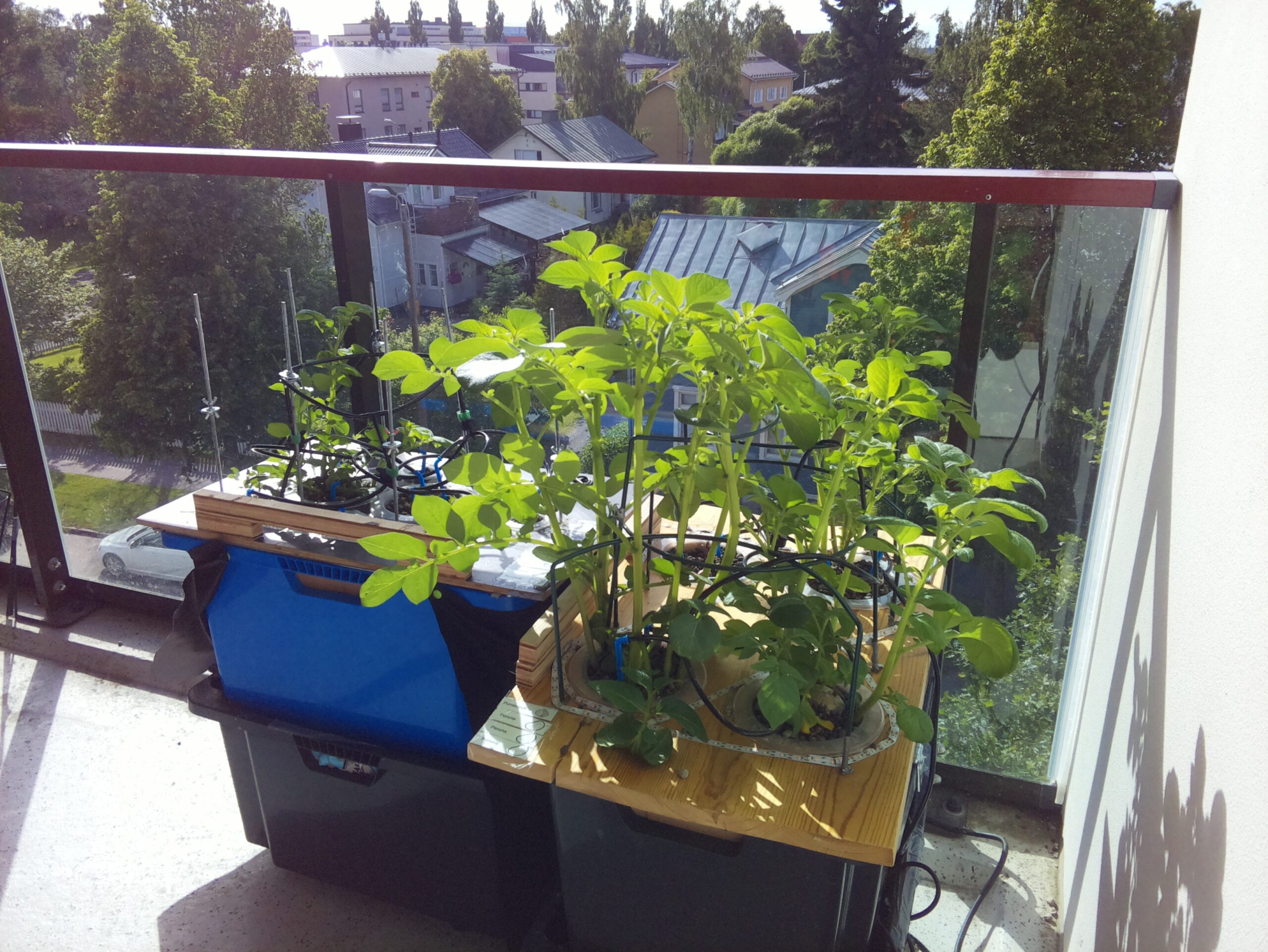 ilta KATU 2026-06-23: 18:05:01