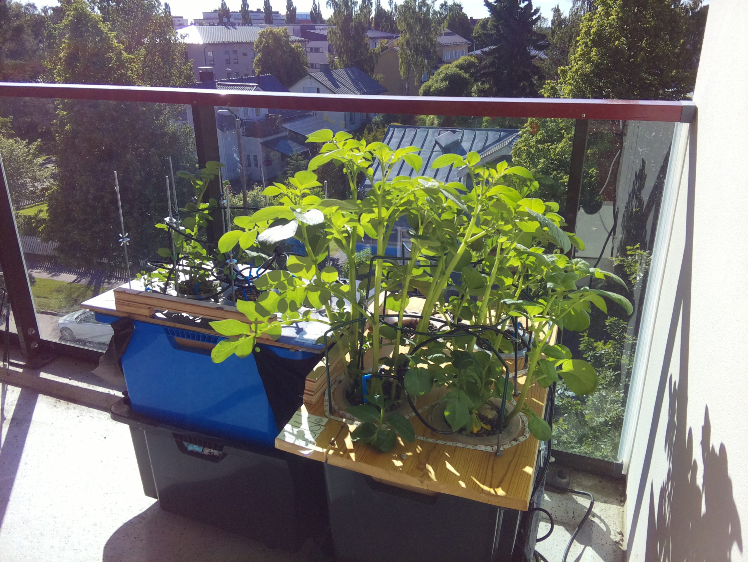 ilta KATU 2026-06-24: 18:05:01