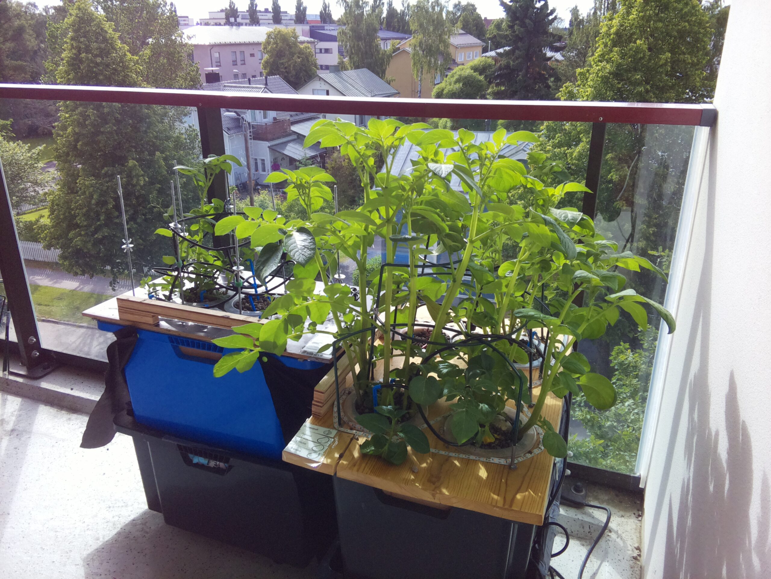 ilta KATU 2026-06-25: 18:05:02