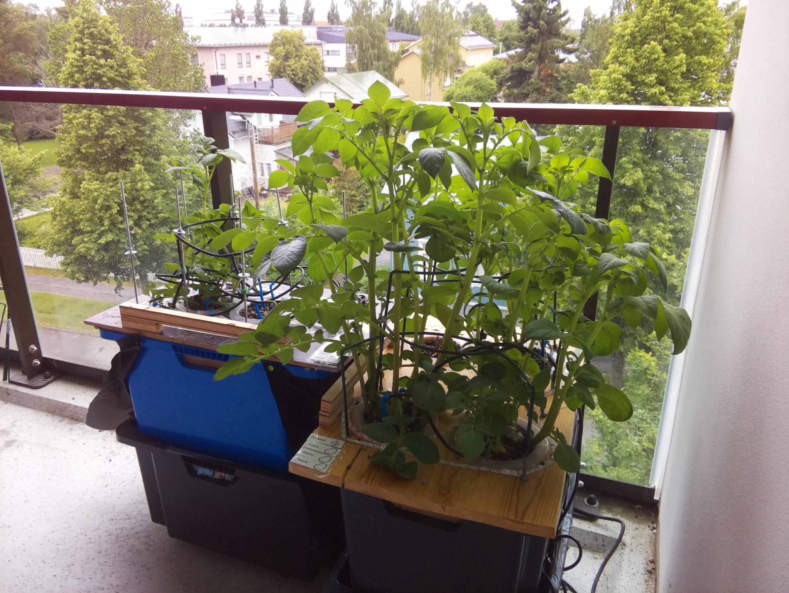 ilta KATU 2026-06-26: 18:05:02