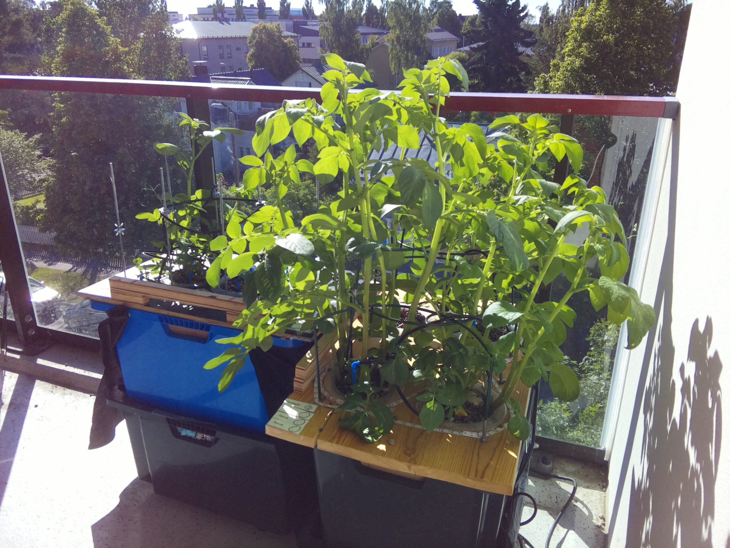 ilta KATU 2026-06-27: 18:05:02