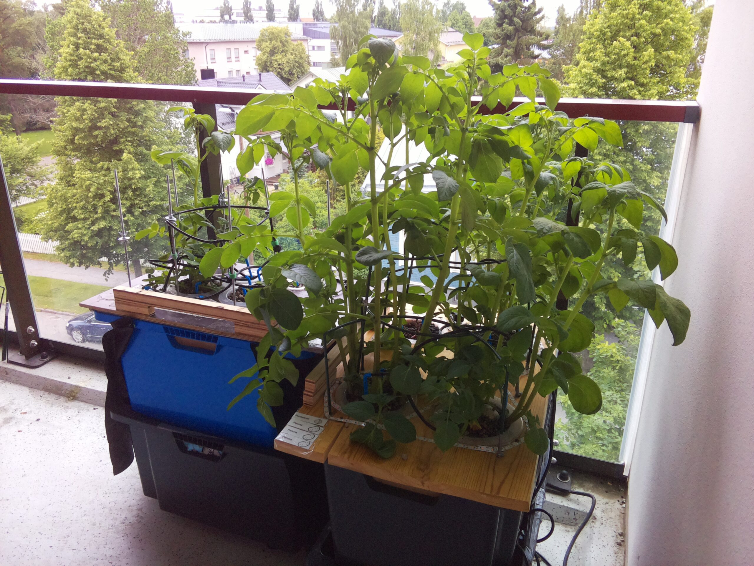 ilta KATU 2026-06-28: 18:05:02