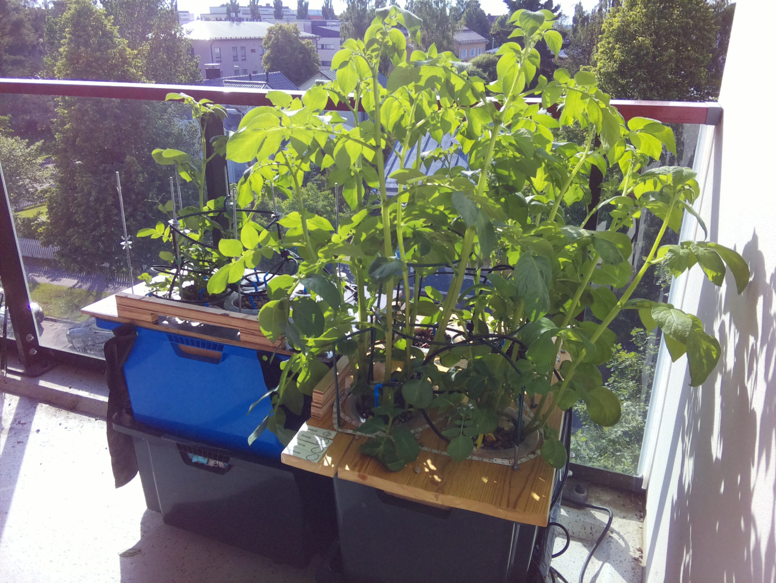 ilta KATU 2026-06-29: 18:05:01