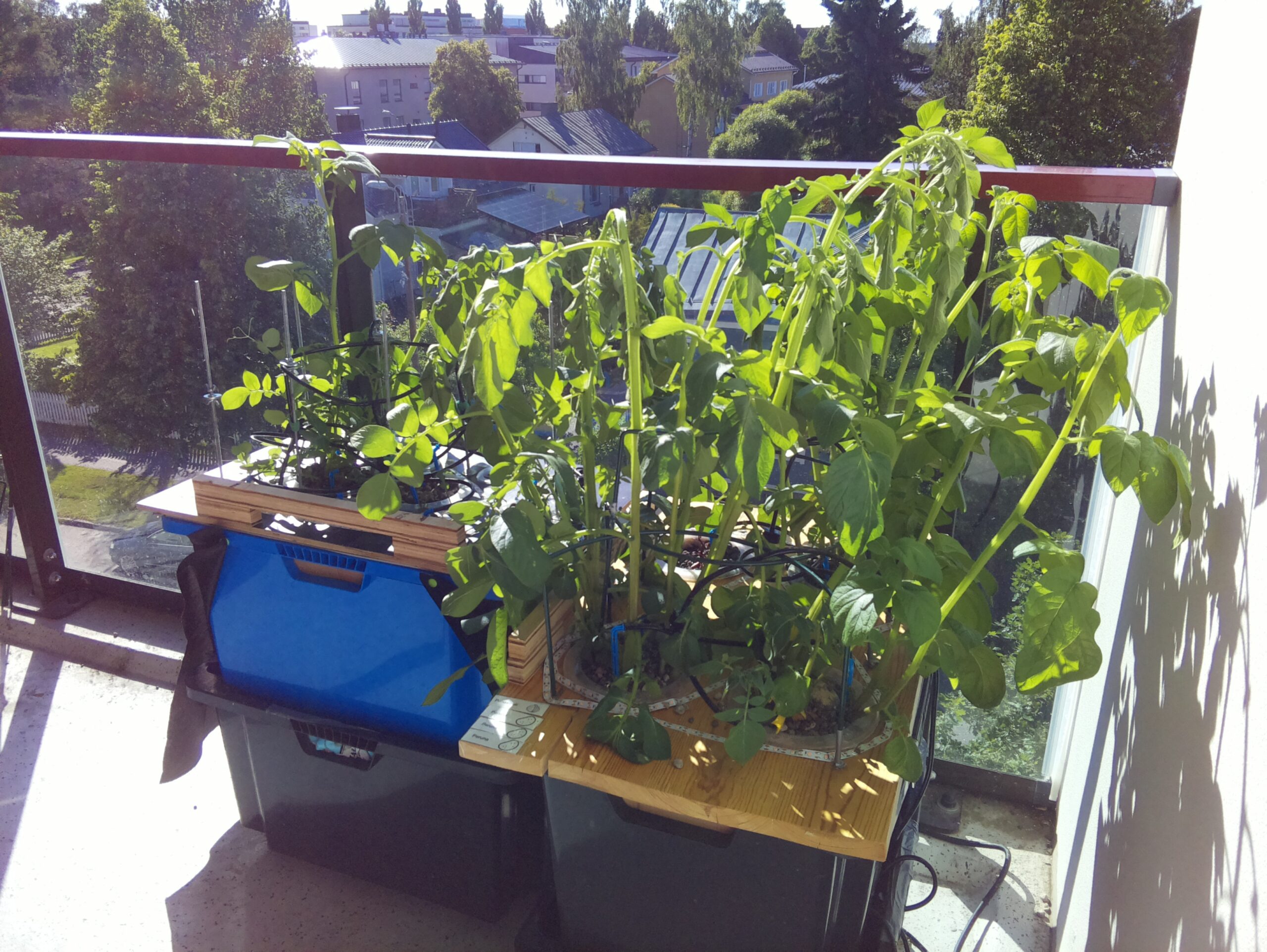ilta KATU 2026-06-30: 18:05:02