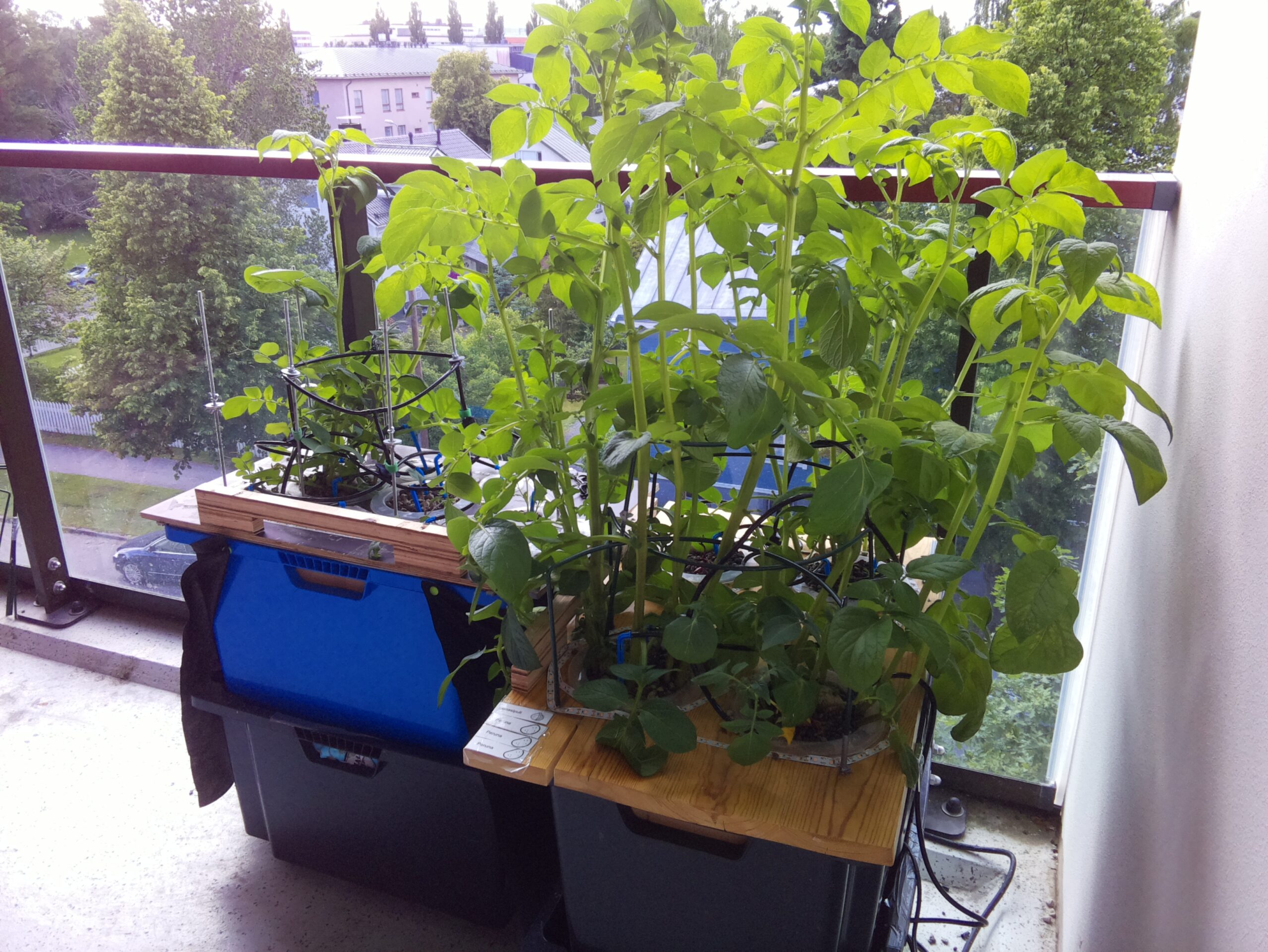 ilta KATU 2026-07-01: 18:05:02