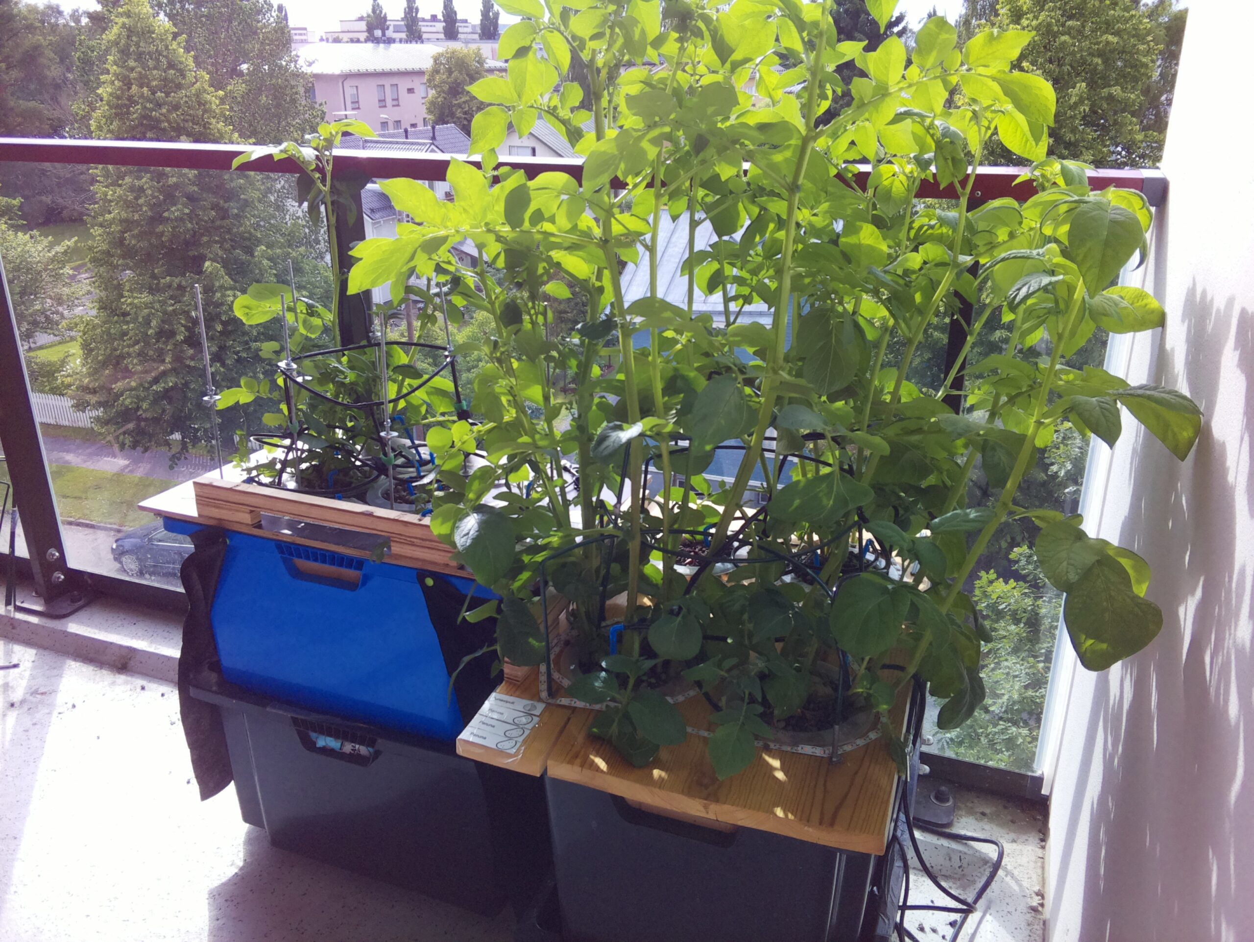 ilta KATU 2026-07-03: 18:05:02