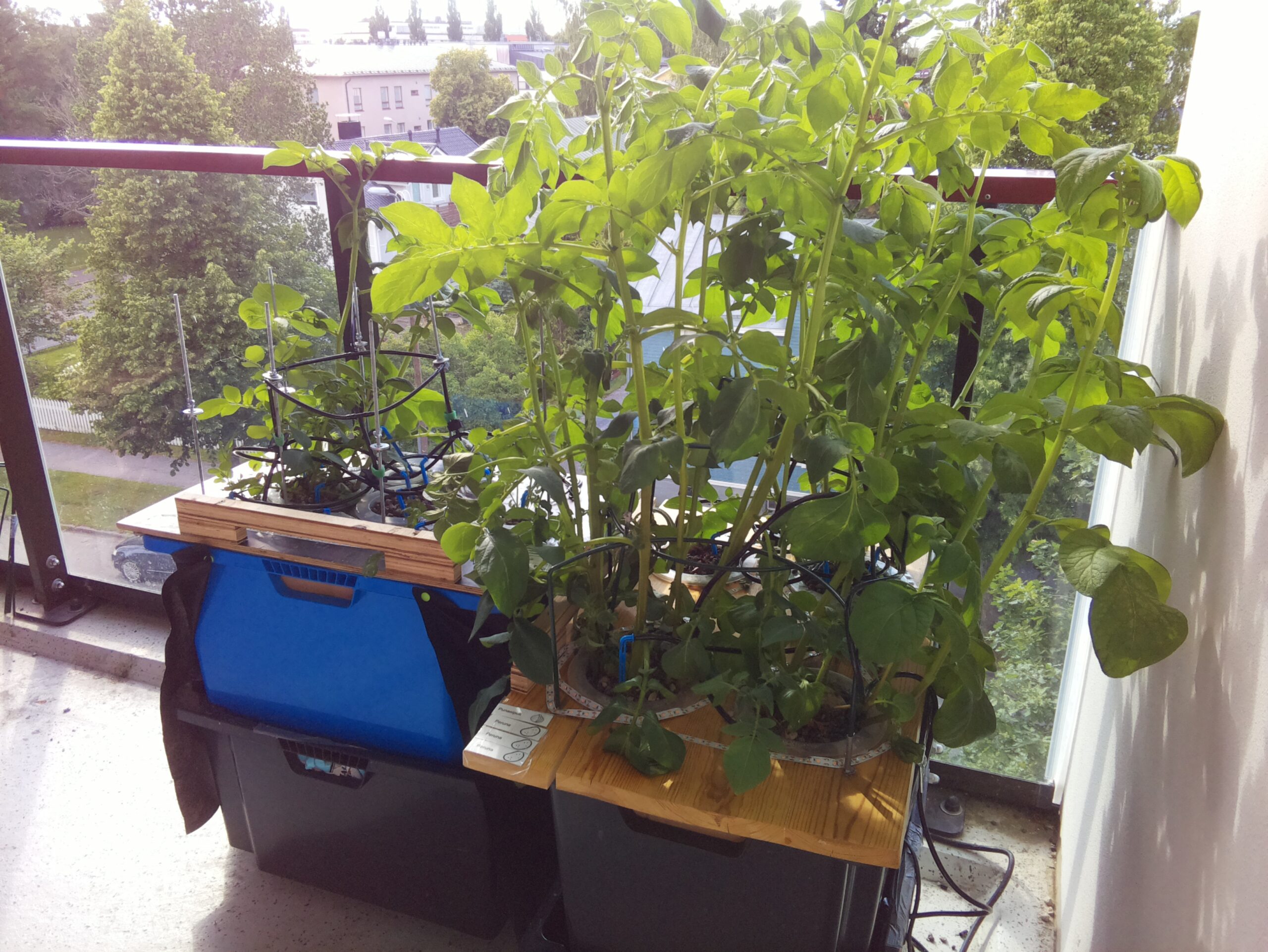 ilta KATU 2026-07-04: 18:05:02