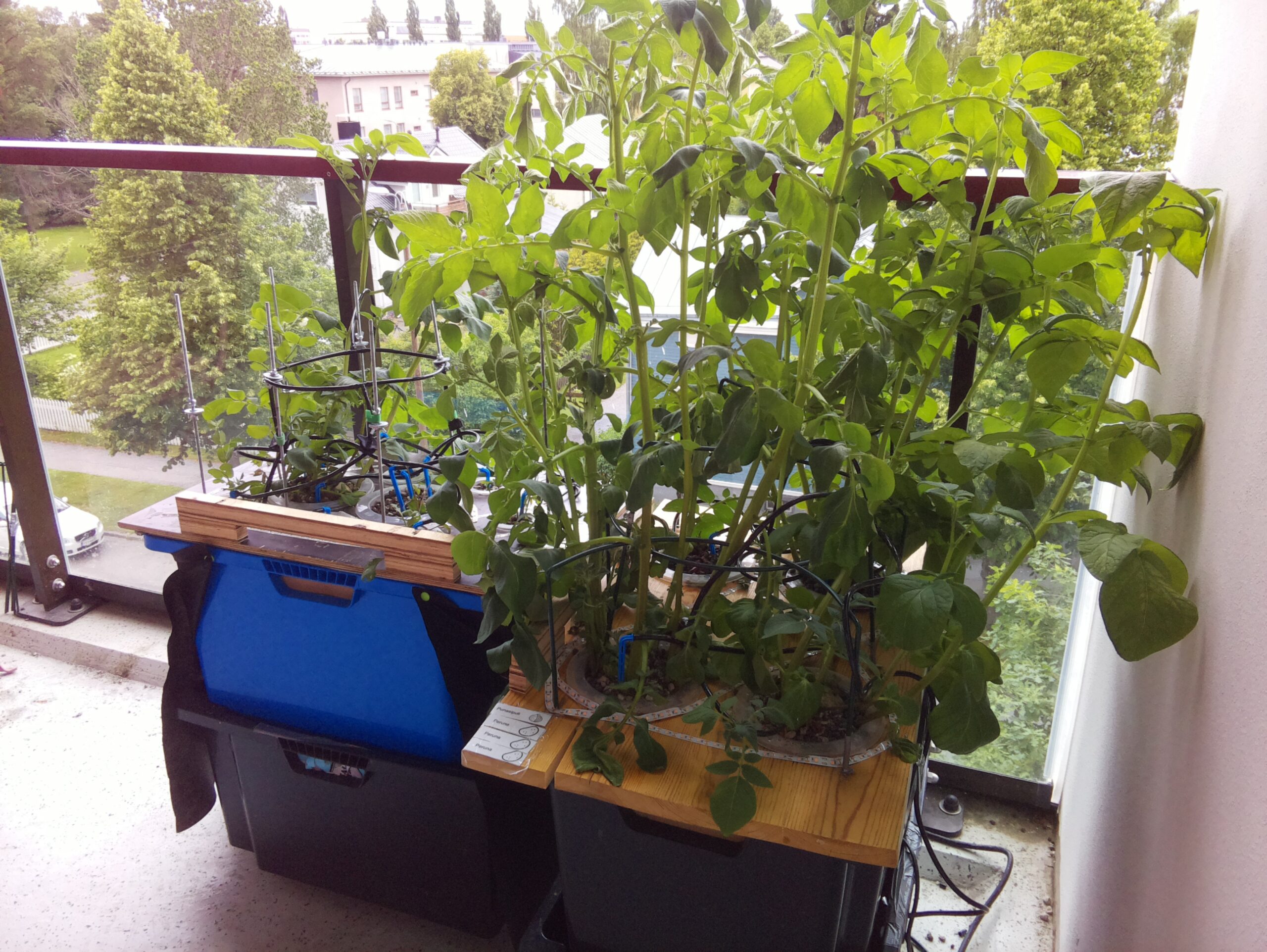 ilta KATU 2026-07-06: 18:05:02