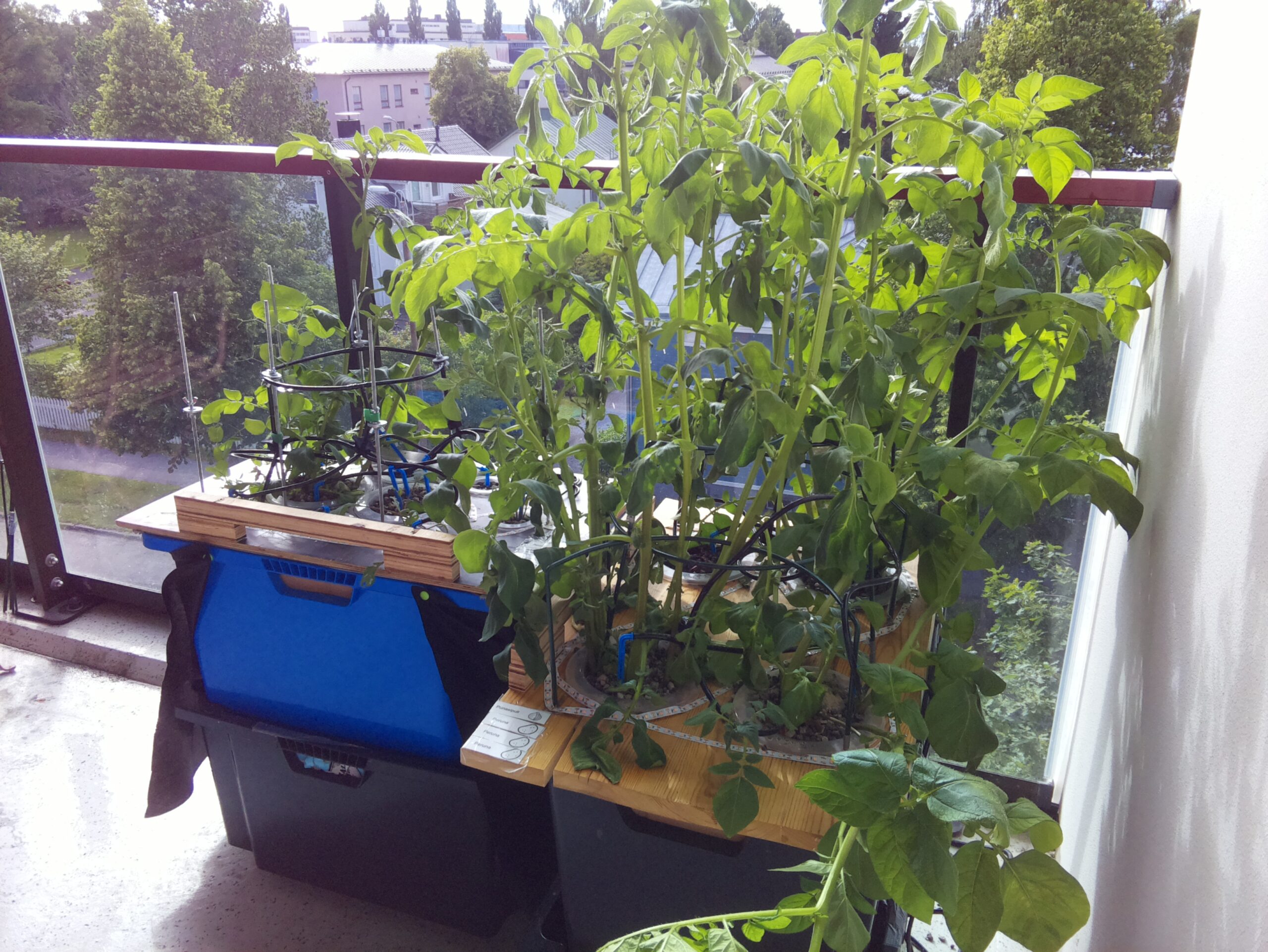 ilta KATU 2026-07-07: 18:05:01
