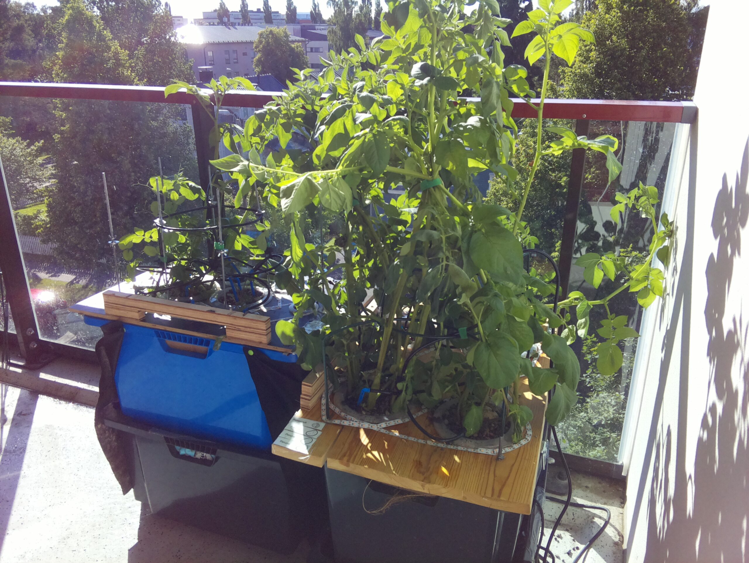 ilta KATU 2026-07-08: 18:05:02