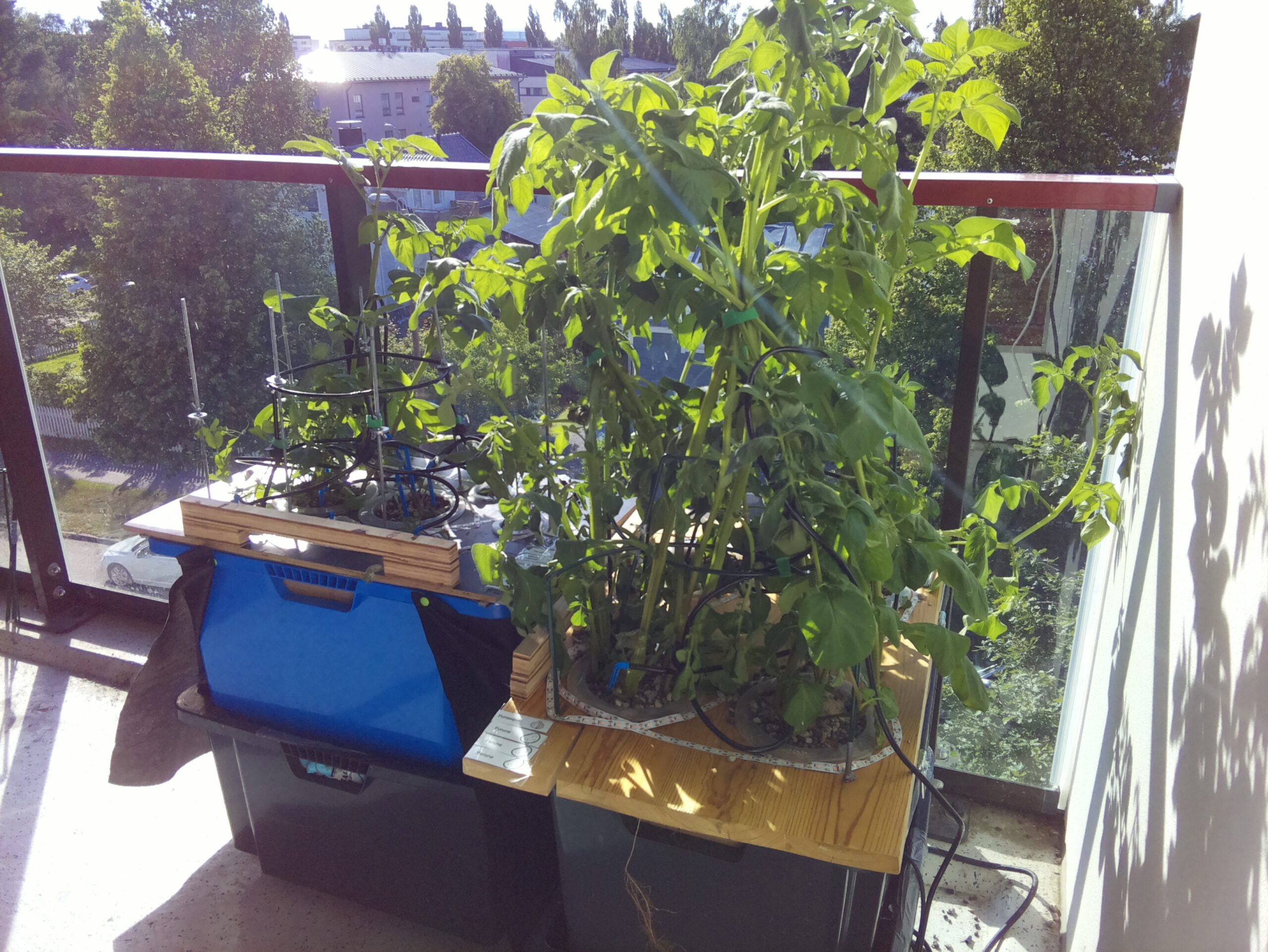 ilta KATU 2026-07-10: 18:05:01