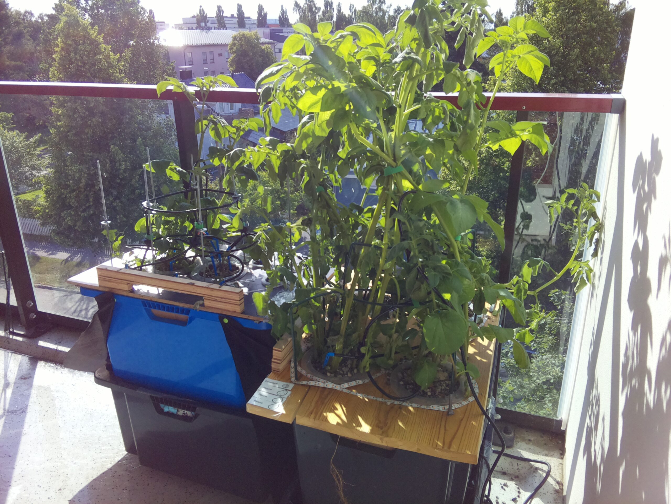 ilta KATU 2026-07-11: 18:05:01