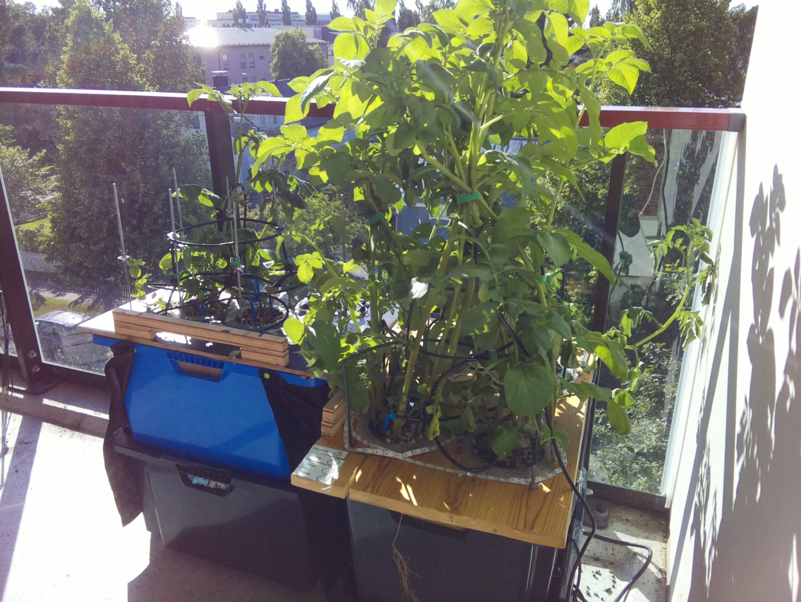 ilta KATU 2026-07-12: 18:05:01