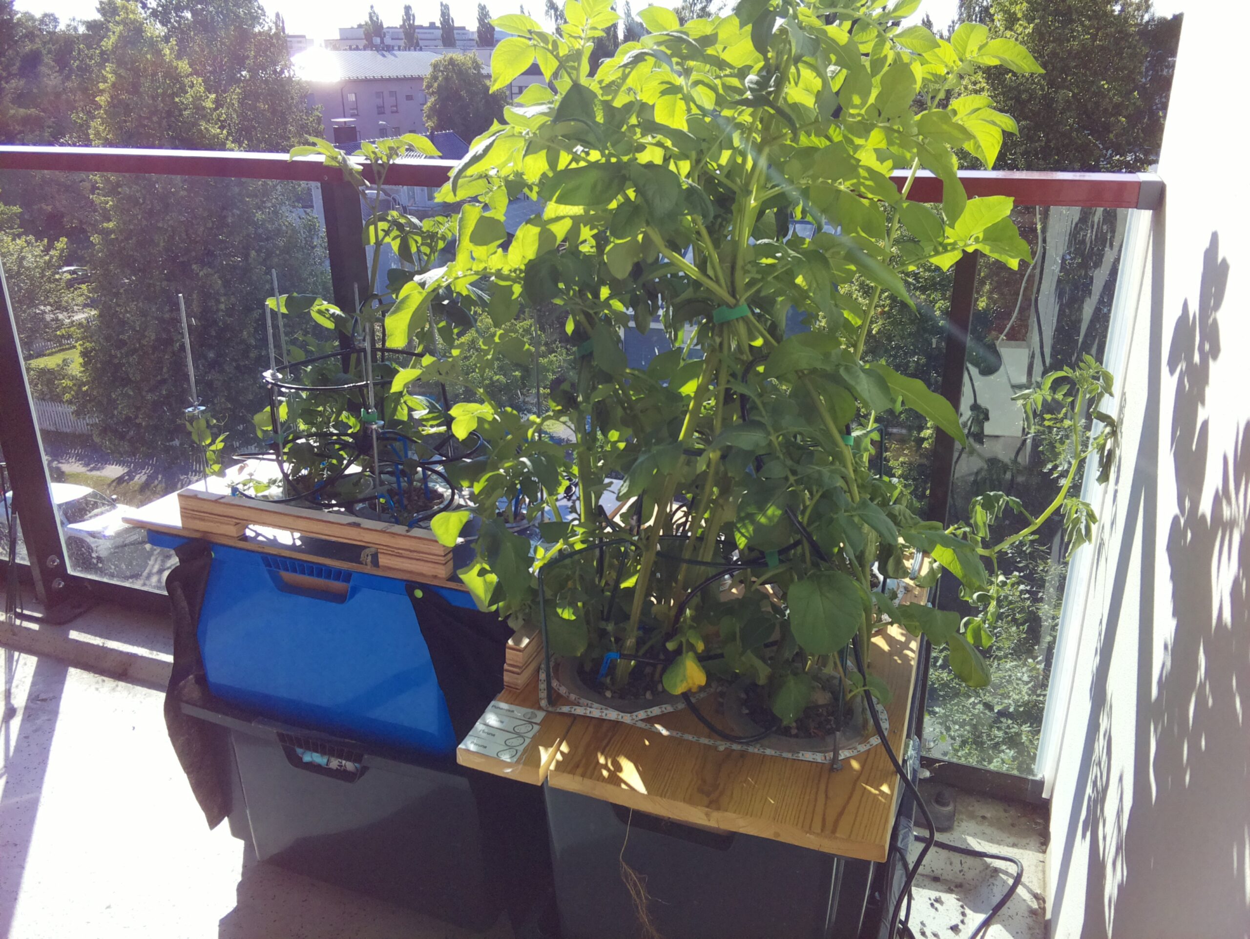 ilta KATU 2026-07-13: 18:05:17