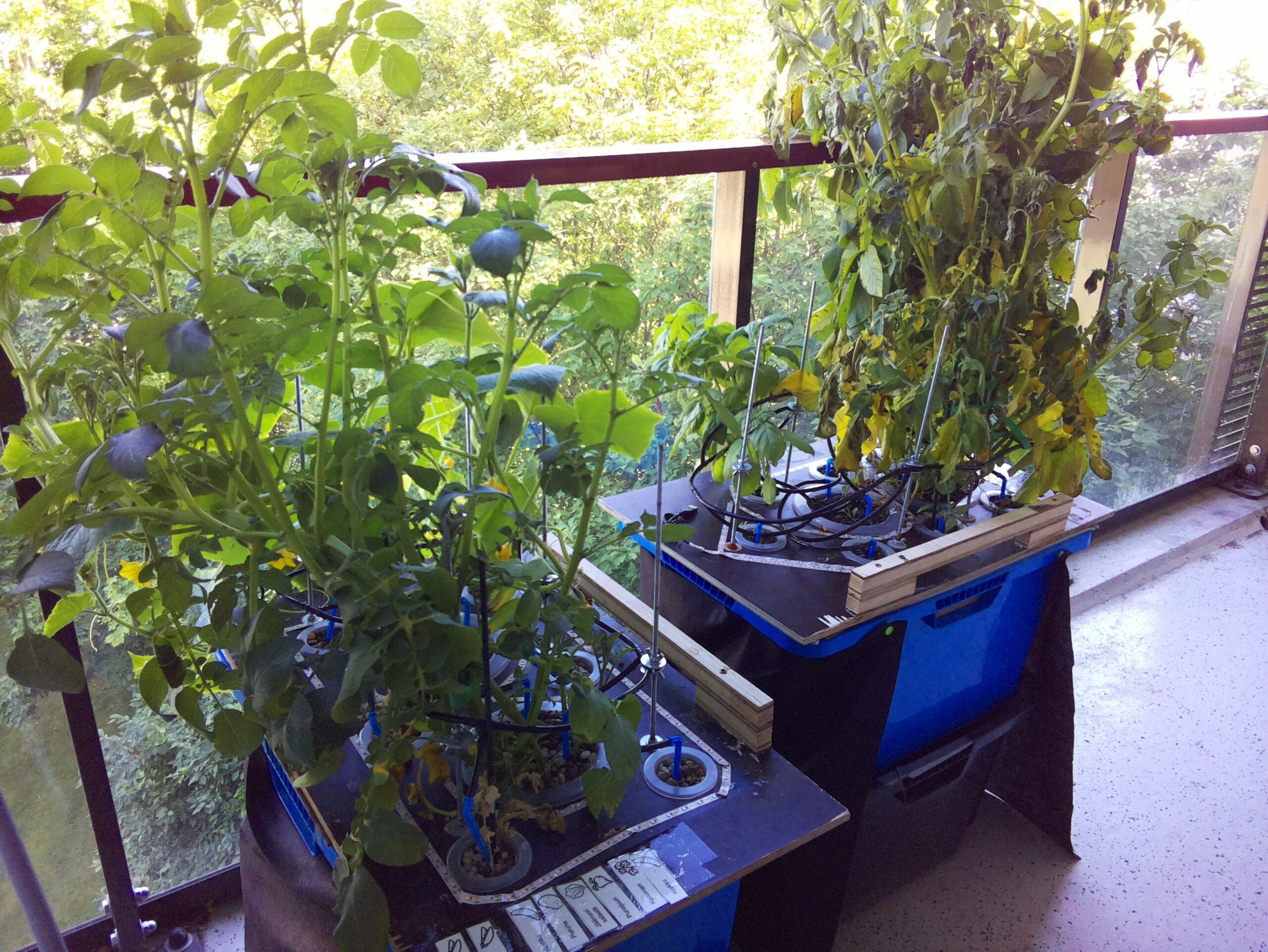 ilta SISÄPIHA 2026-07-14: 18:05:01