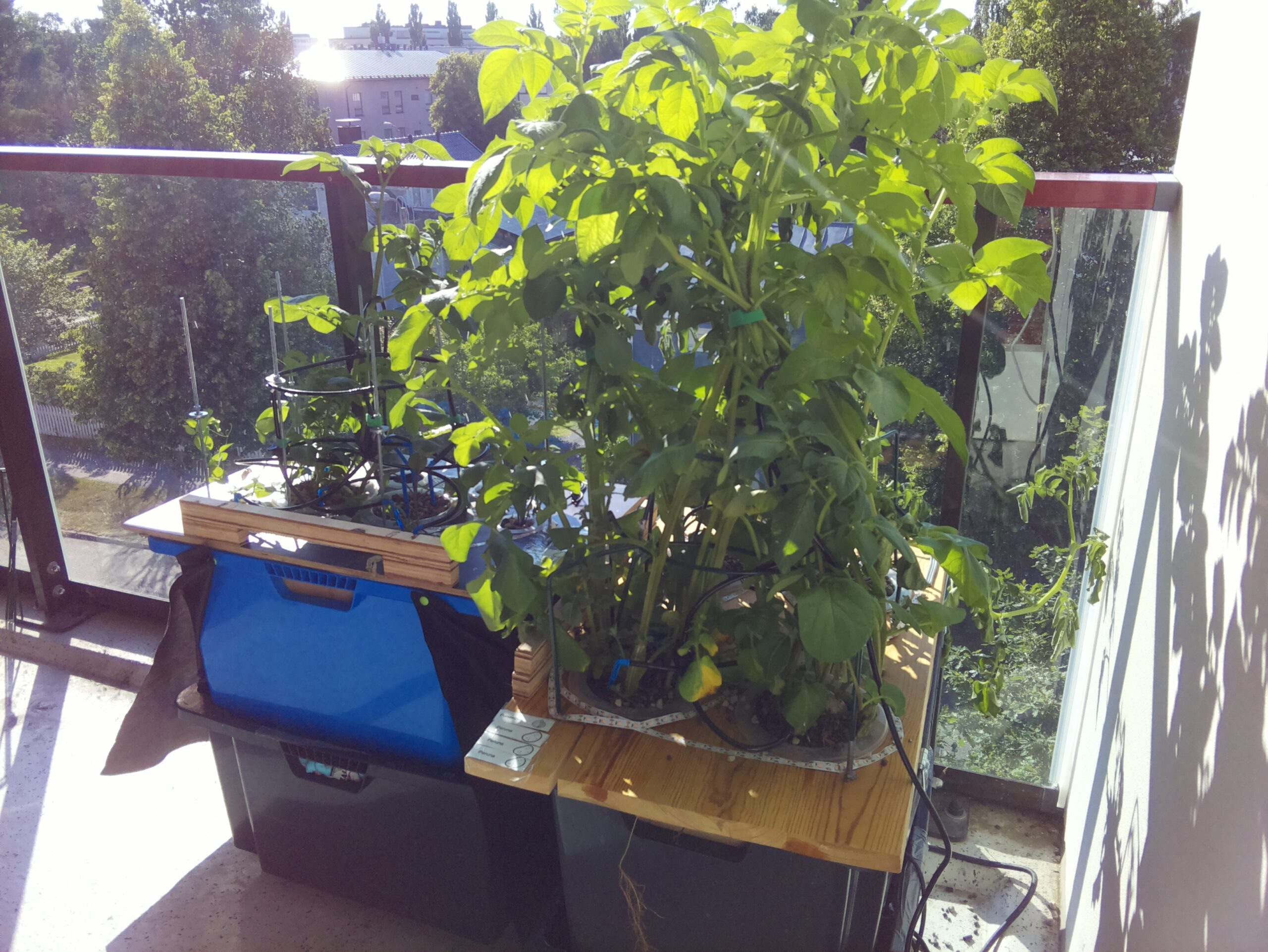 ilta KATU 2026-07-14: 18:05:02