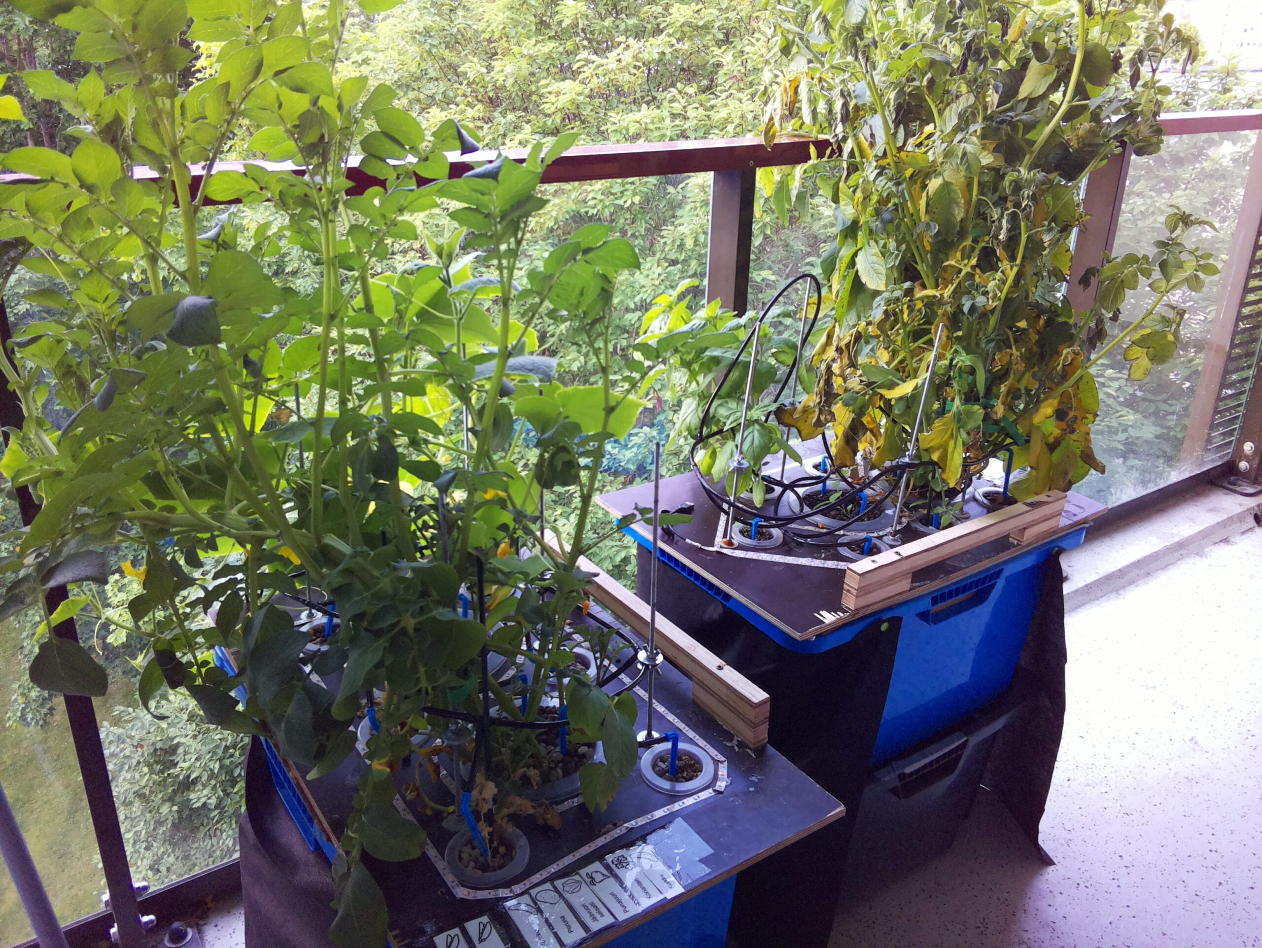 aamu SISÄPIHA 2026-07-15: 06:05:02
