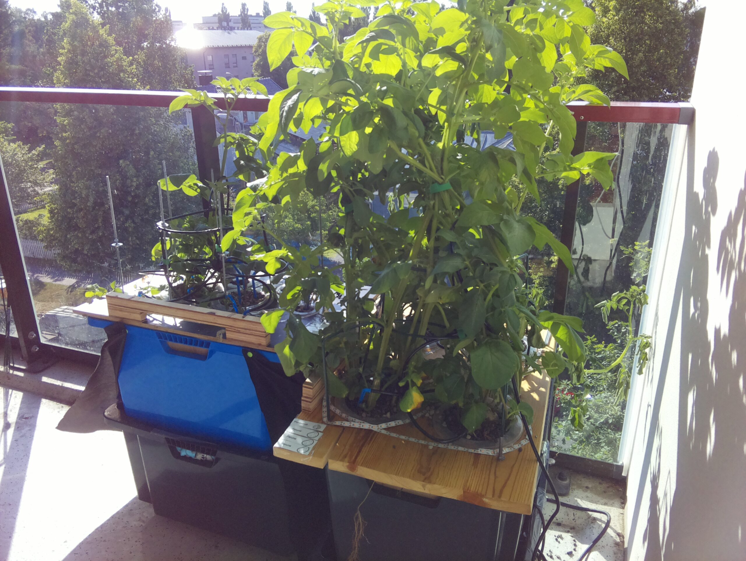 ilta KATU 2026-07-15: 18:05:01